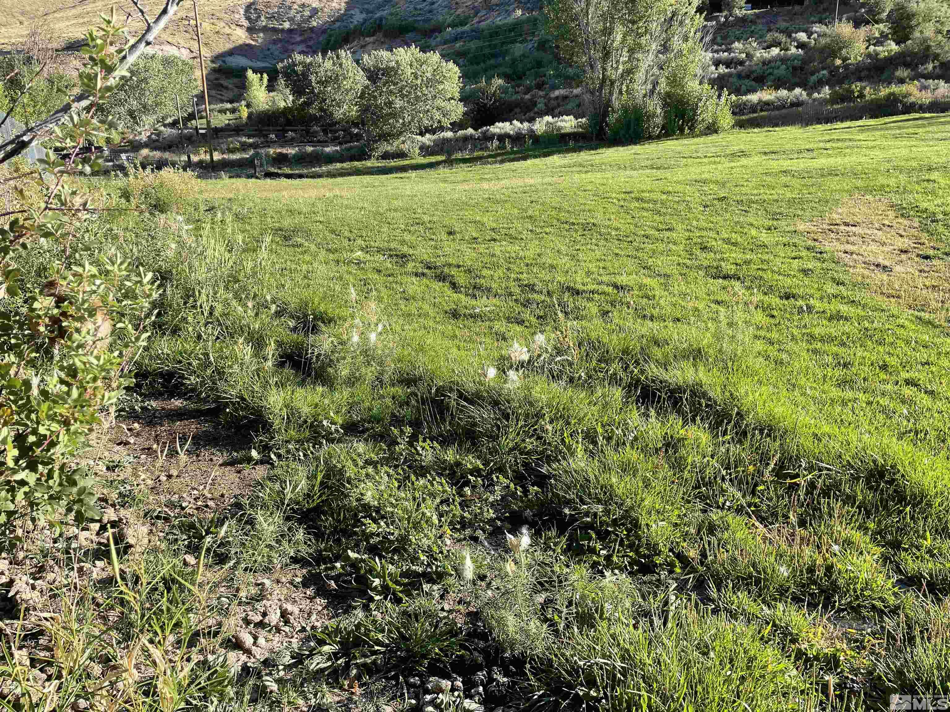 3380 Mario Land Property Photo 9