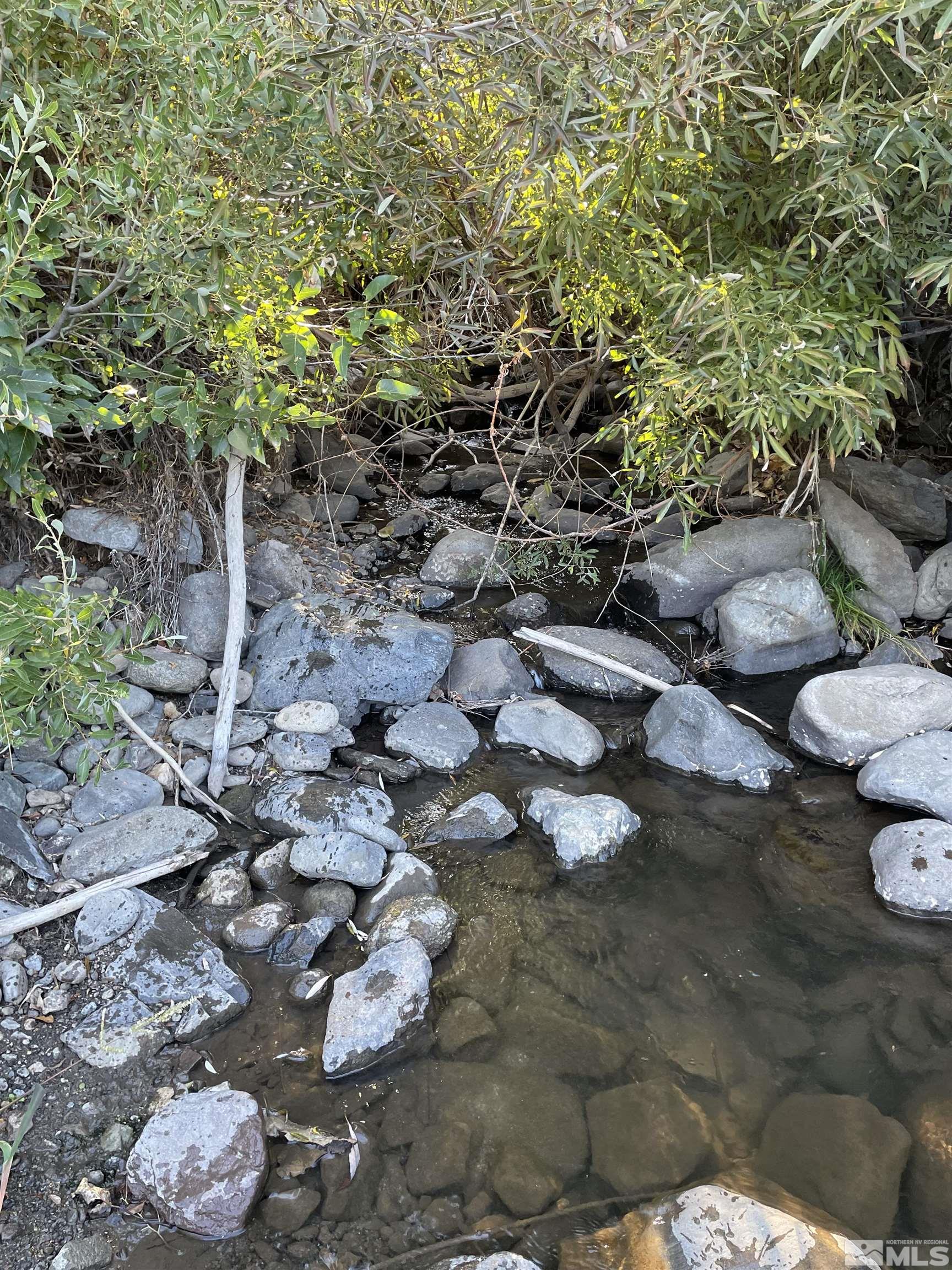 3380 Mario Land Property Photo 15