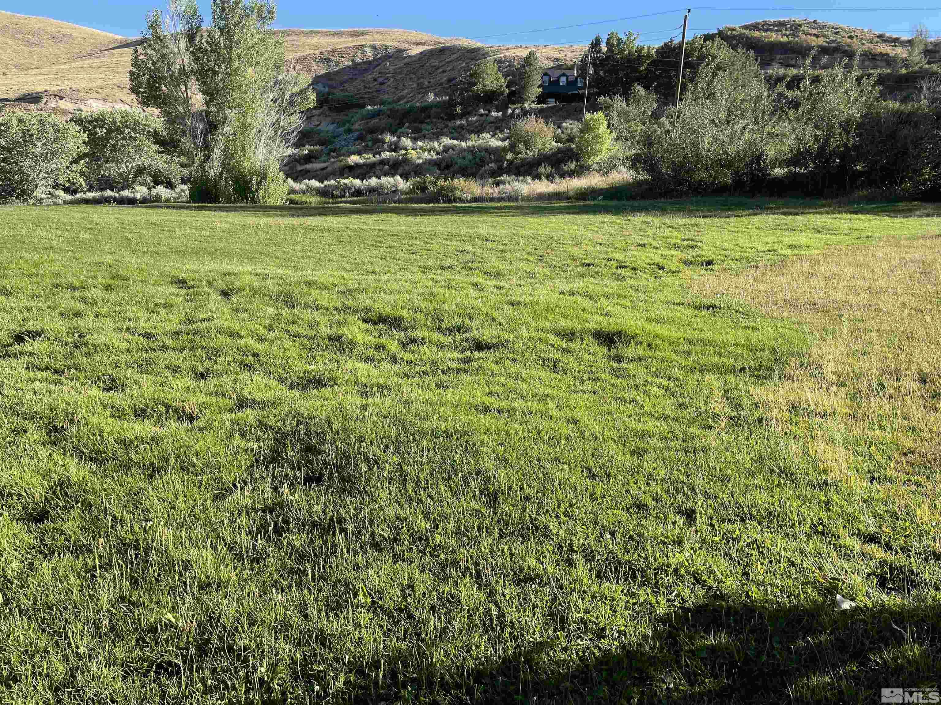 3380 Mario Land Property Photo 16
