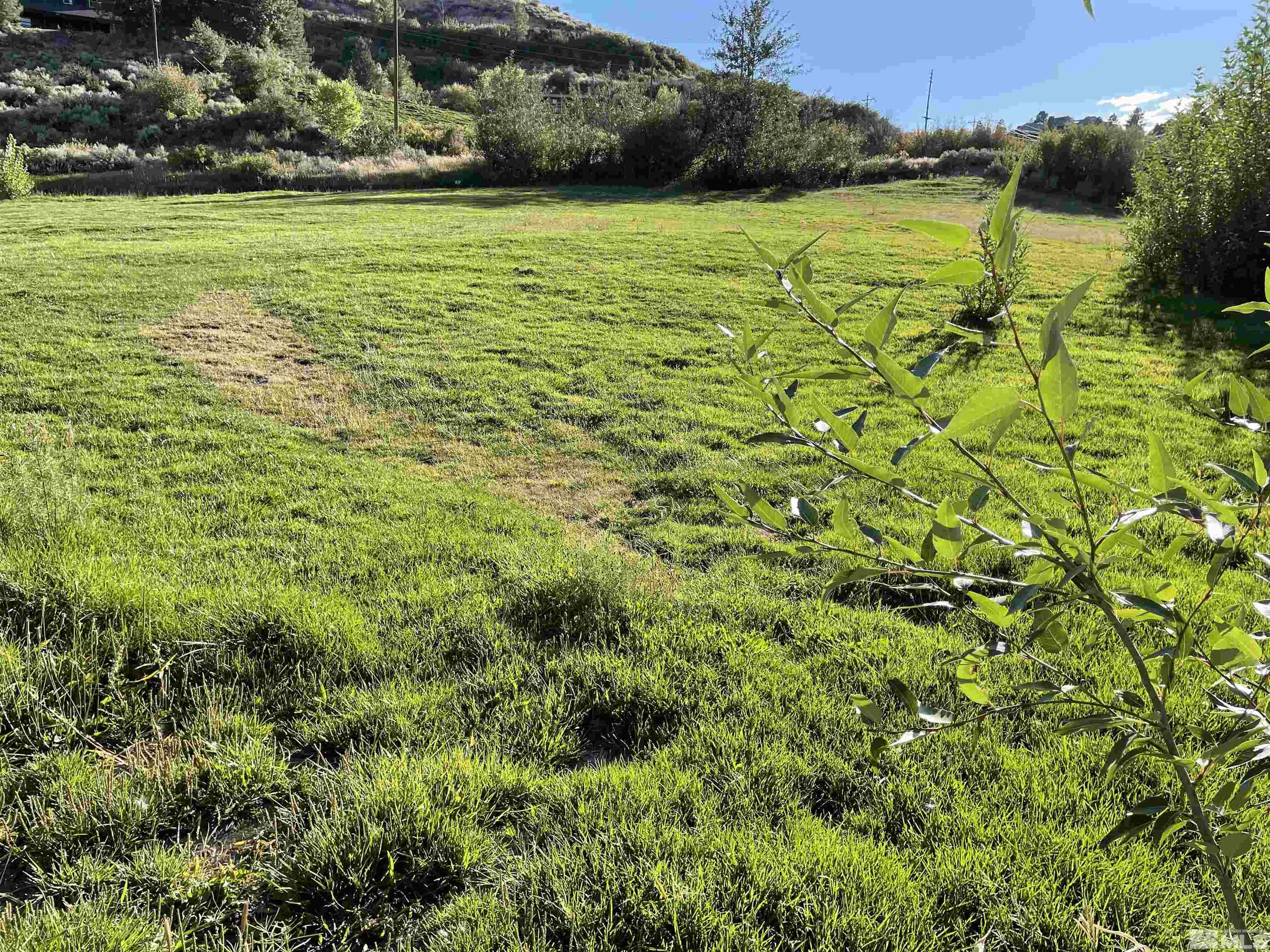 3380 Mario Land Property Photo 20