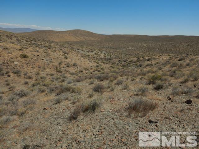 11230 Winter River Drive Property Photo 1