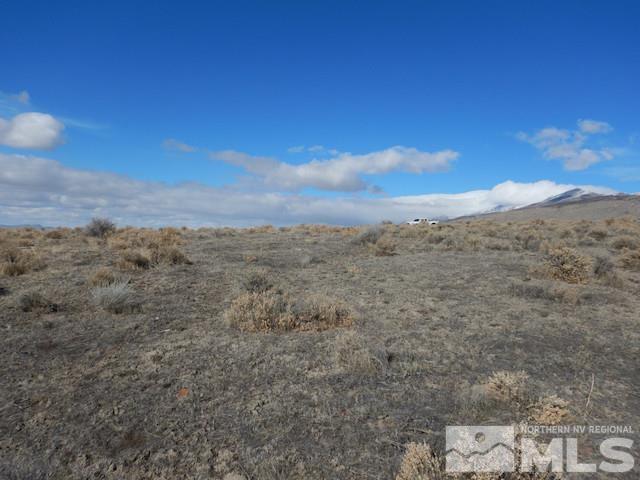 11230 Winter River Drive Property Photo 3