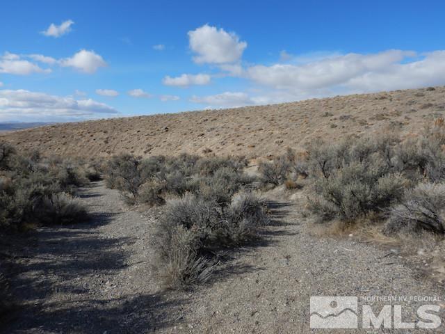 11230 Winter River Drive Property Photo 4