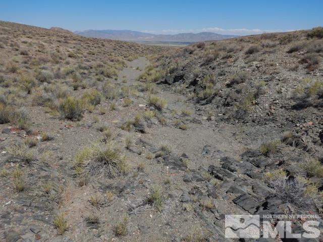 11230 Winter River Drive Property Photo 6