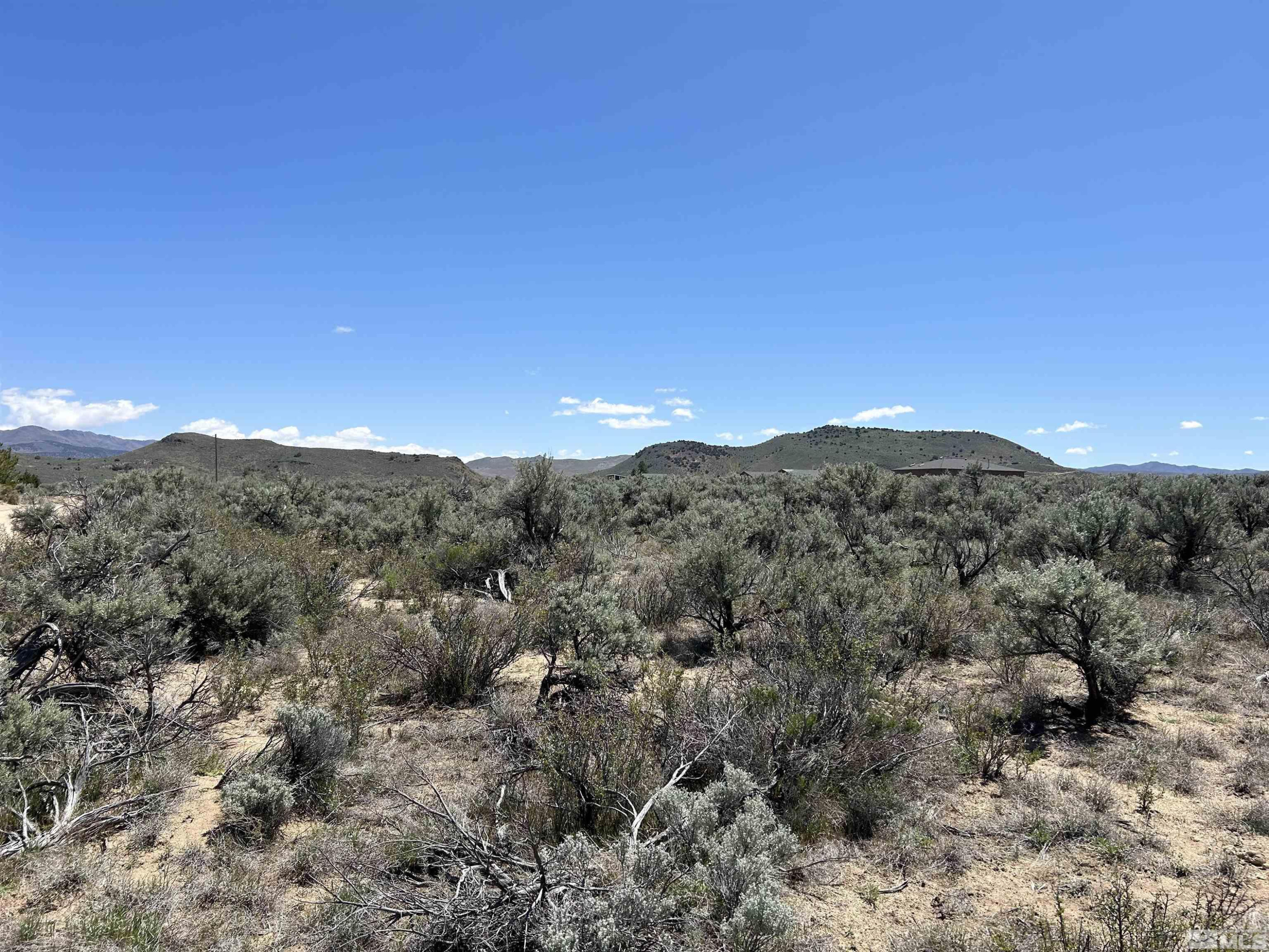 22905 Fetlock Drive Property Photo 18