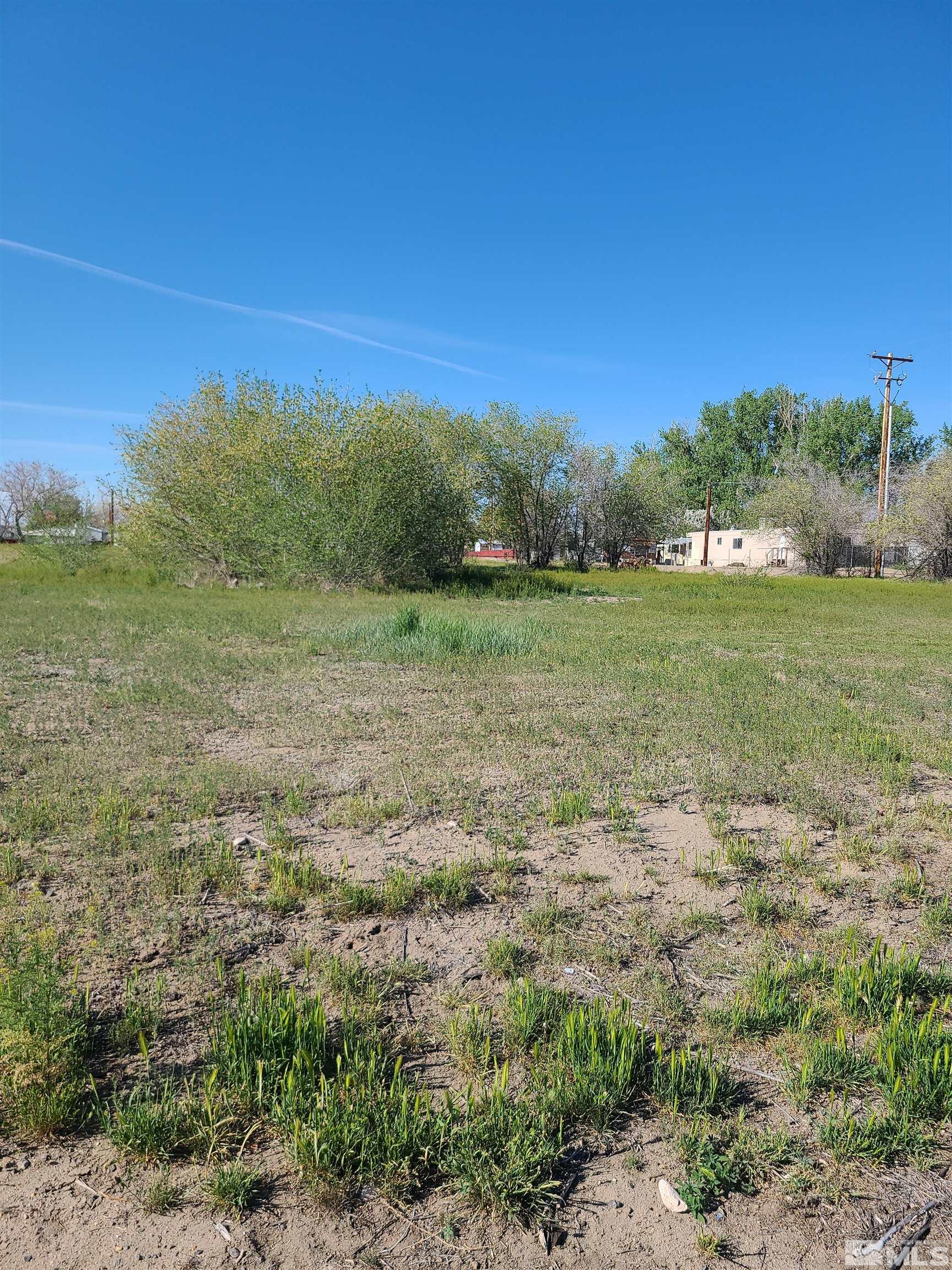 361 Silver Spur Drive Property Photo 4
