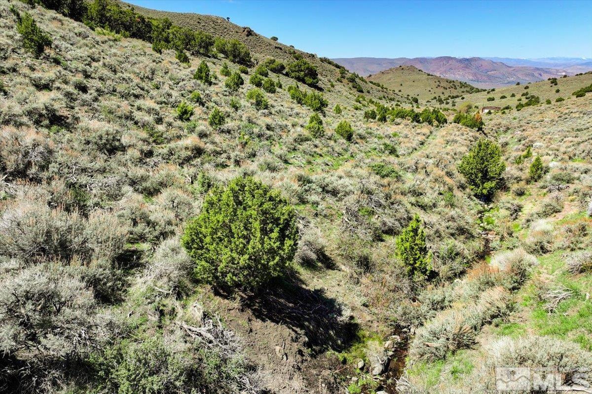 0 Pah Rah Springs Road Property Photo 4