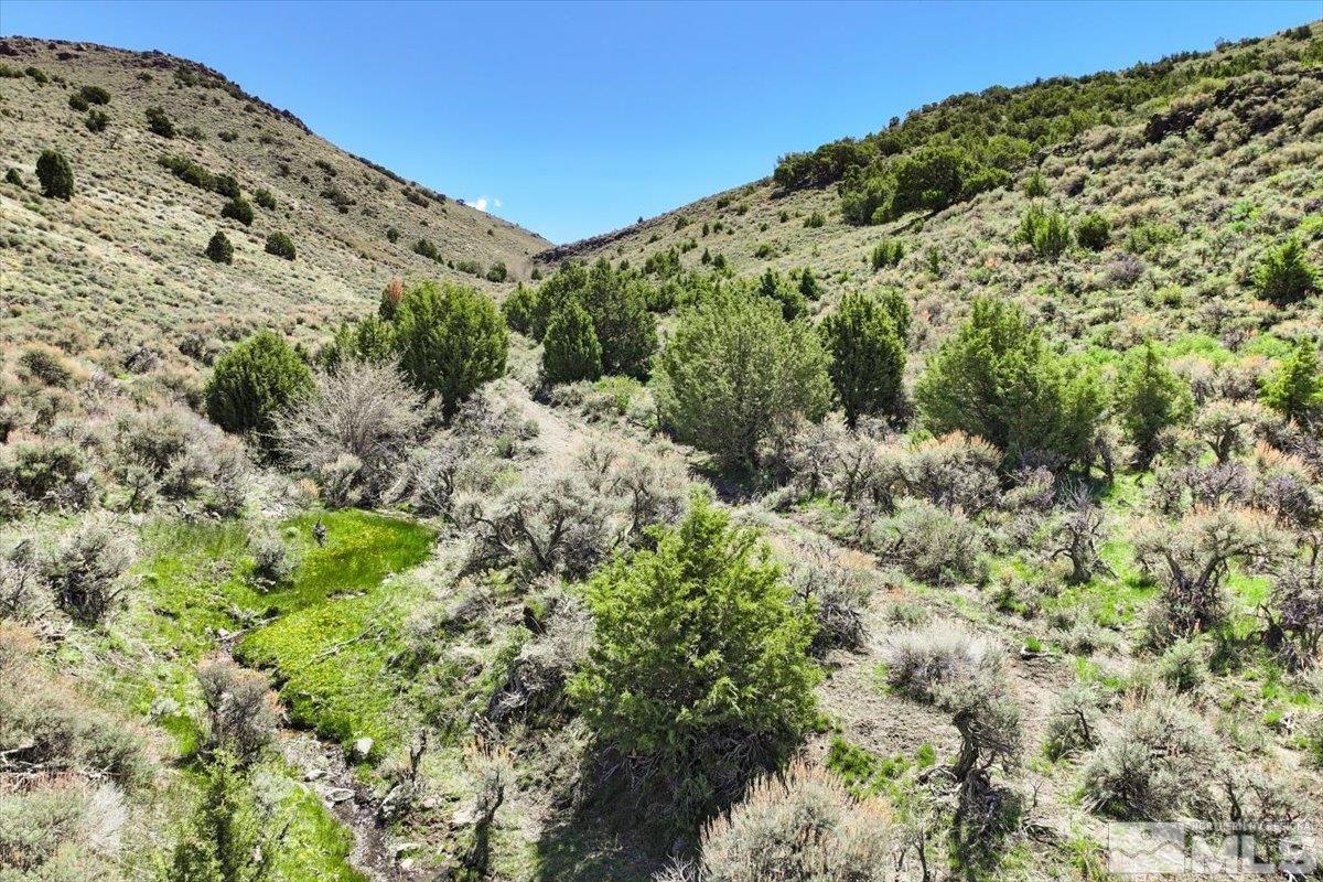 0 Pah Rah Springs Road Property Photo 5