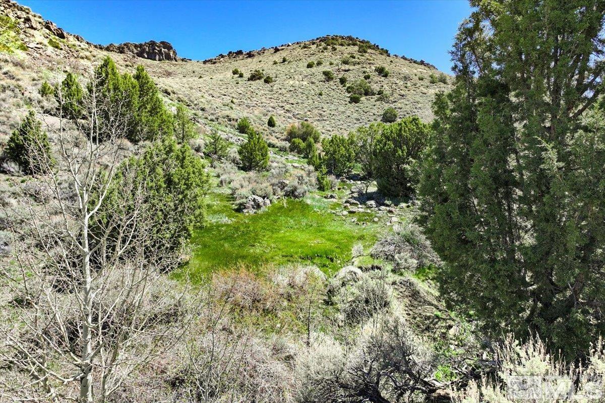 0 Pah Rah Springs Road Property Photo 7