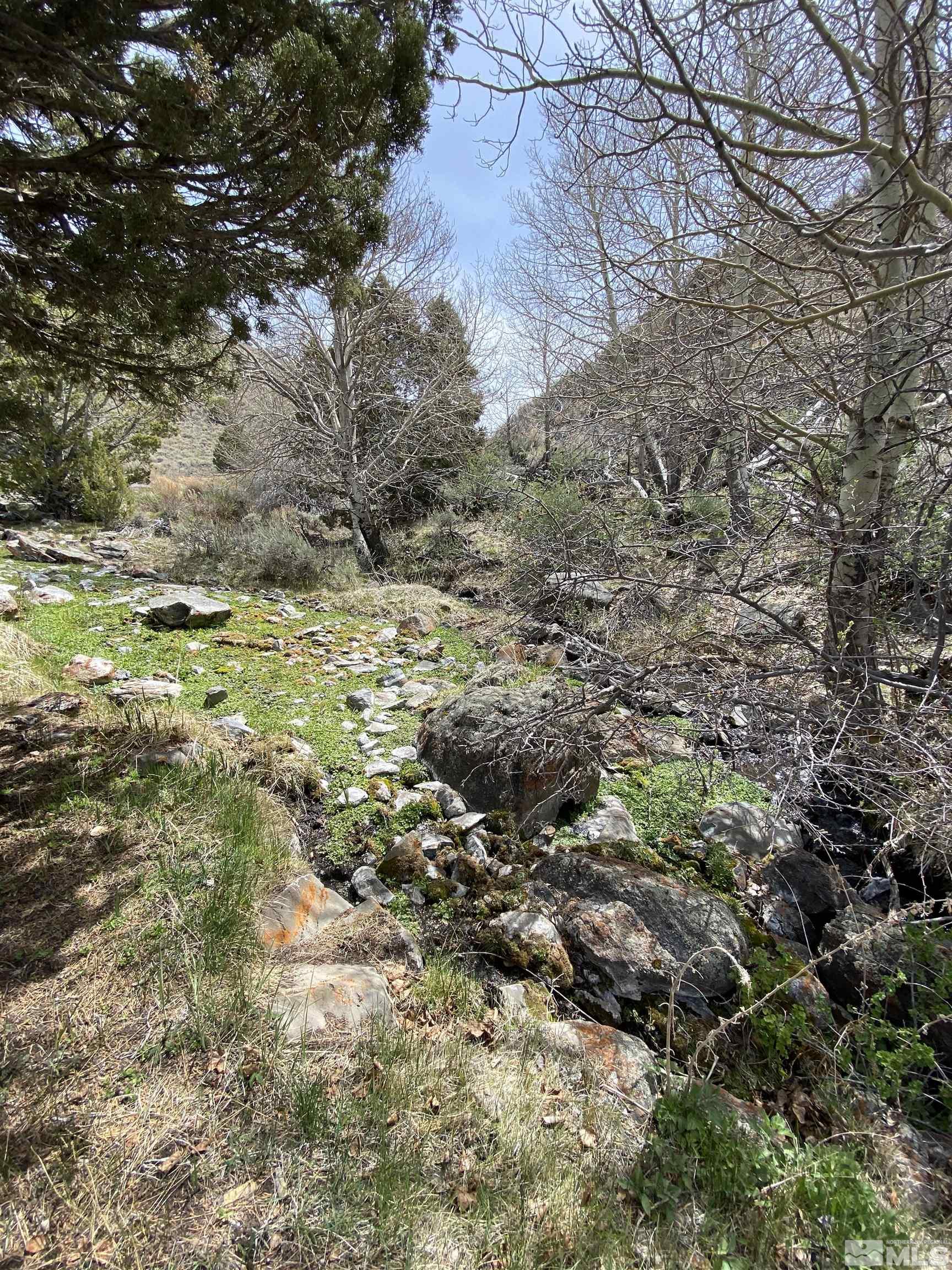 0 Pah Rah Springs Road Property Photo 8