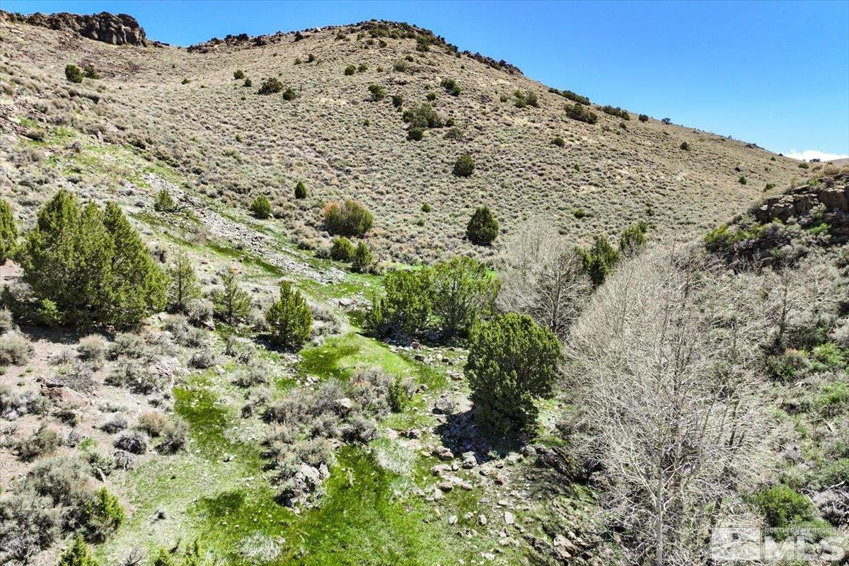 0 Pah Rah Springs Road Property Photo 15