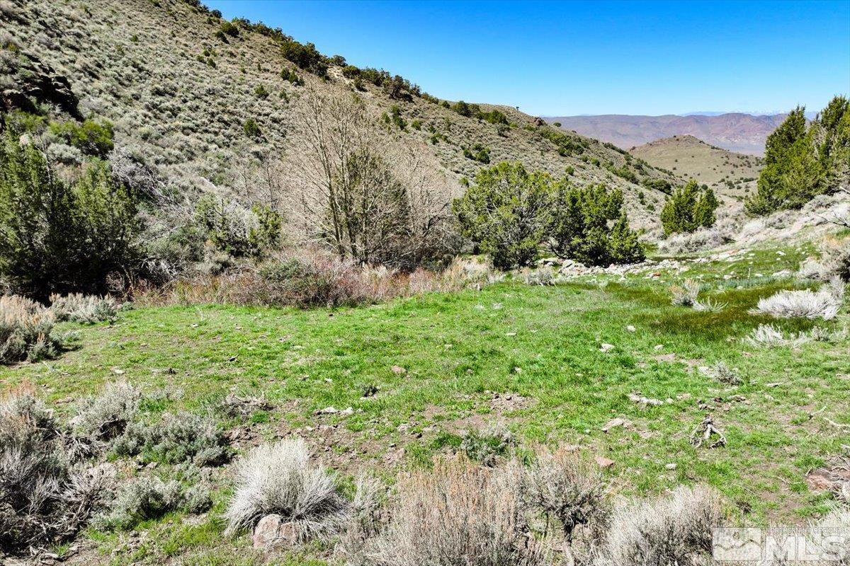 0 Pah Rah Springs Road Property Photo 17