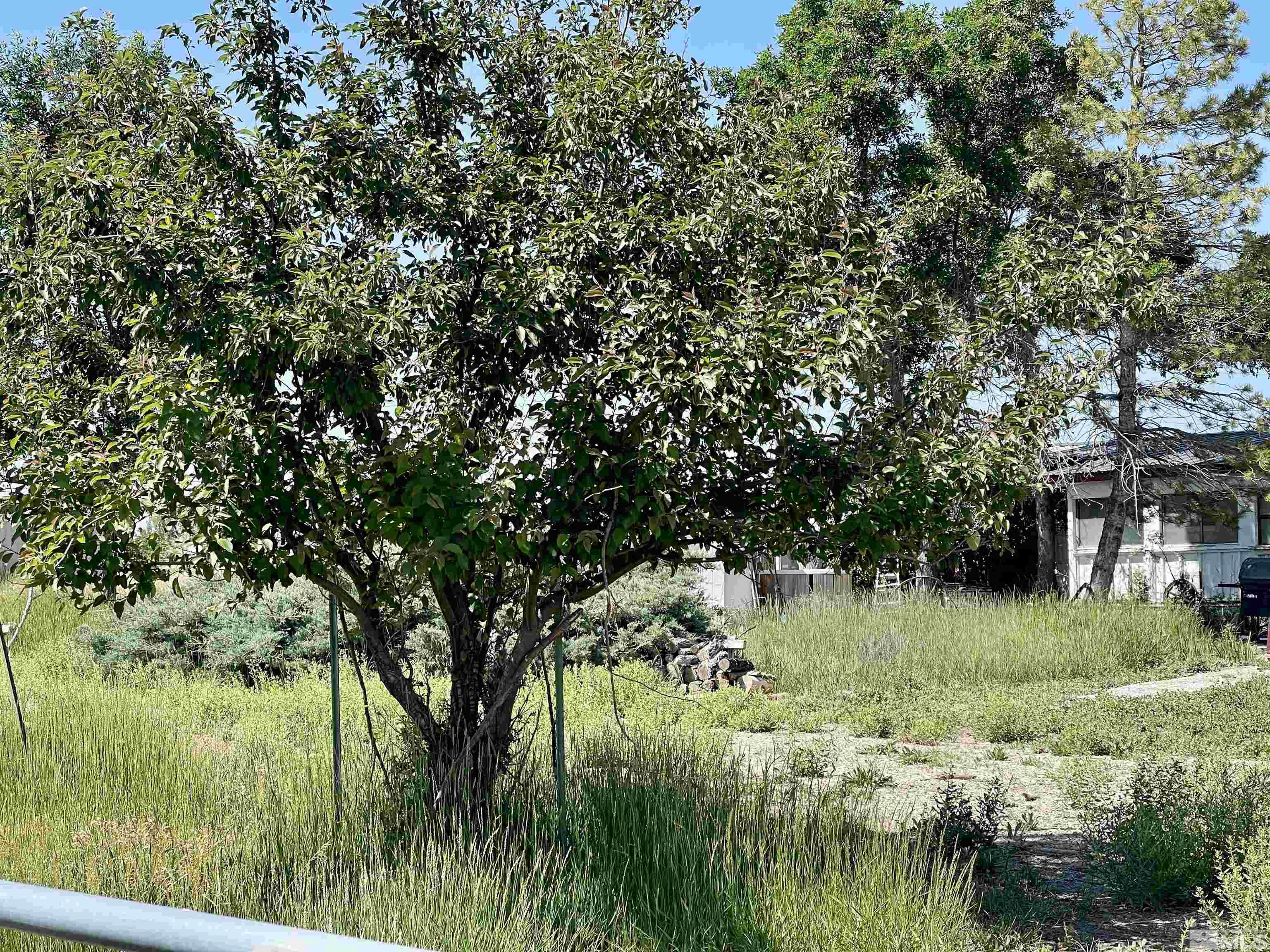 2623 N Canyon Road Property Photo 6