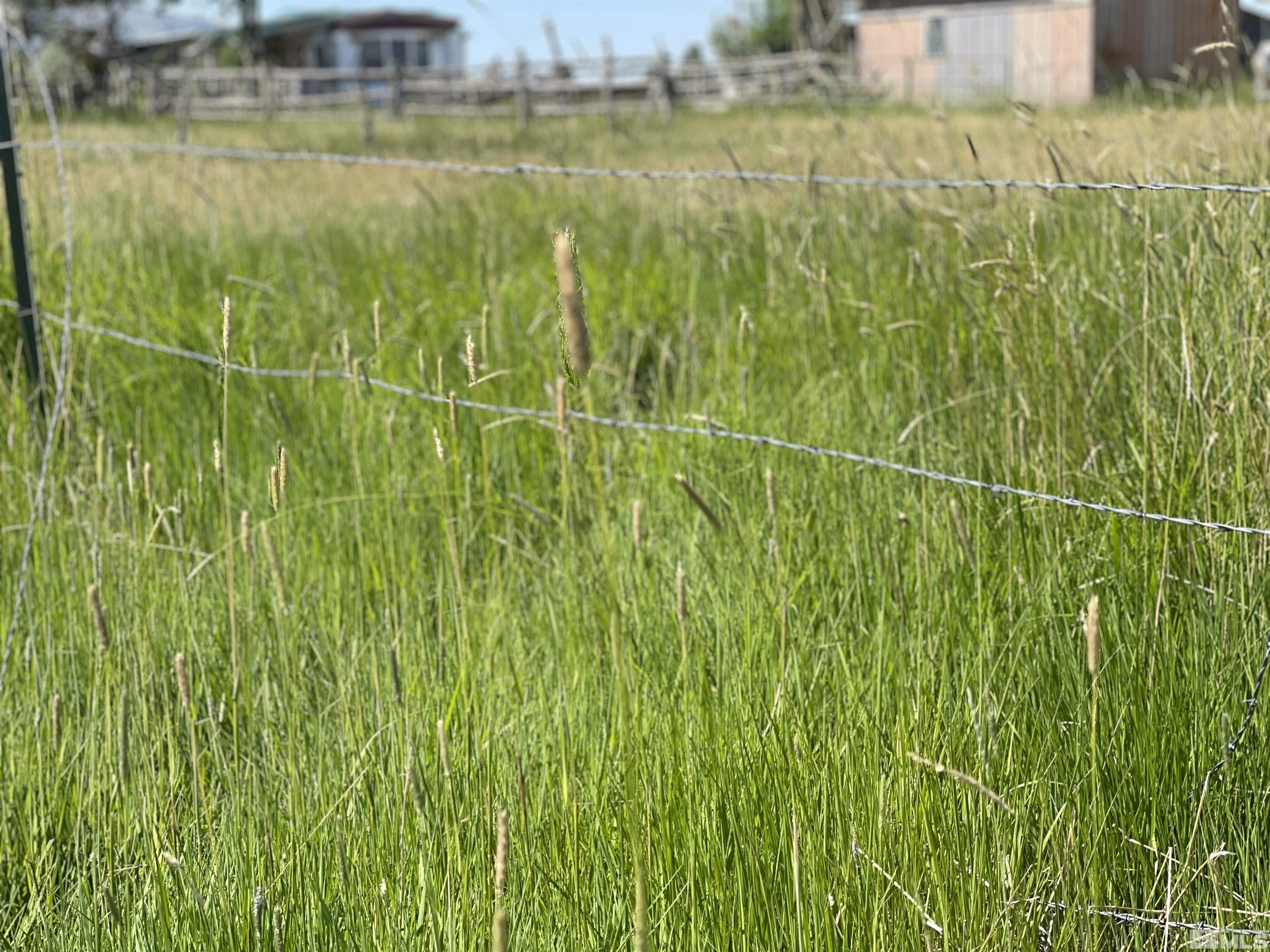 2623 N Canyon Road Property Photo 11