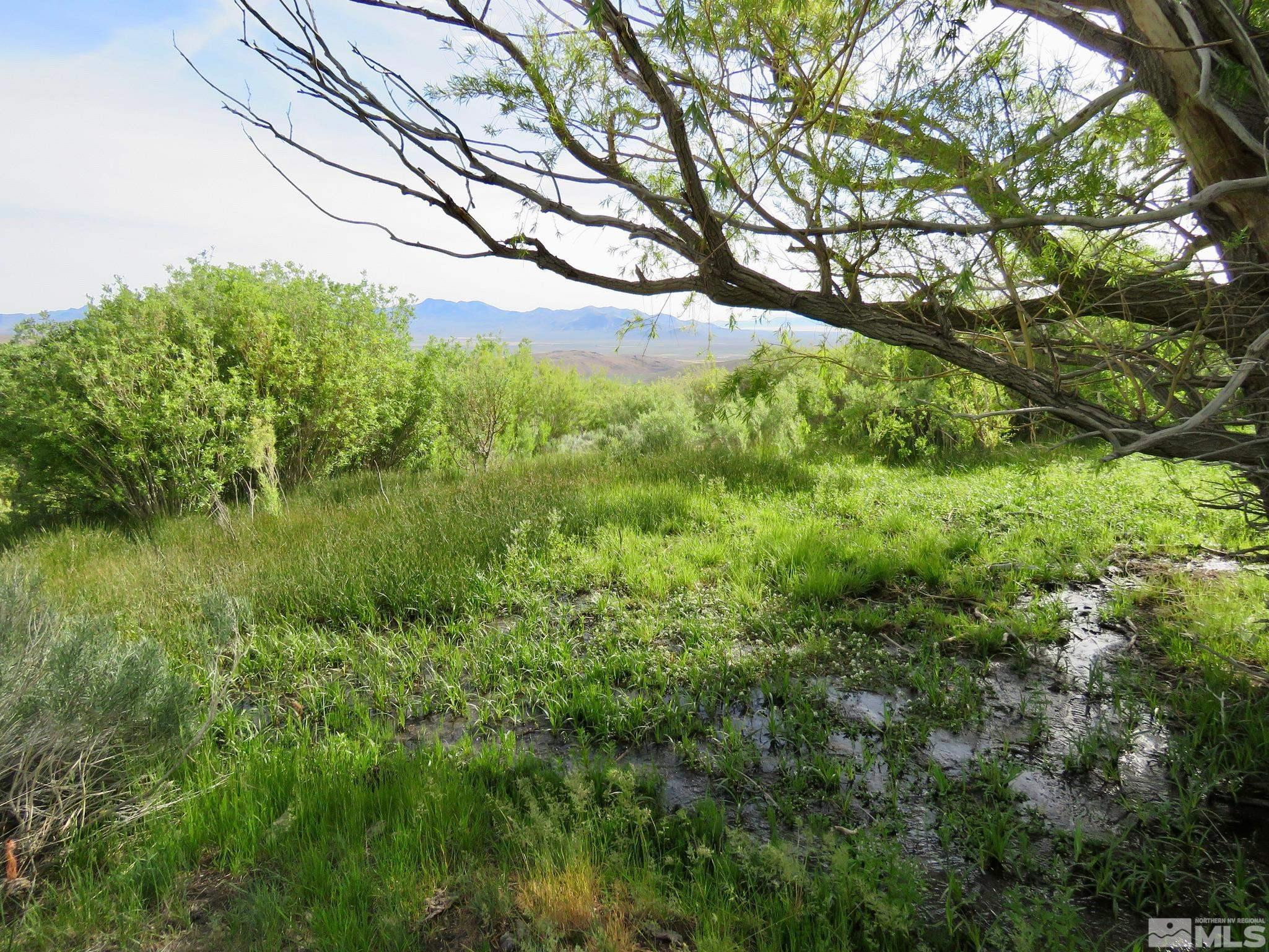 000 Secret Springs Property Photo 17