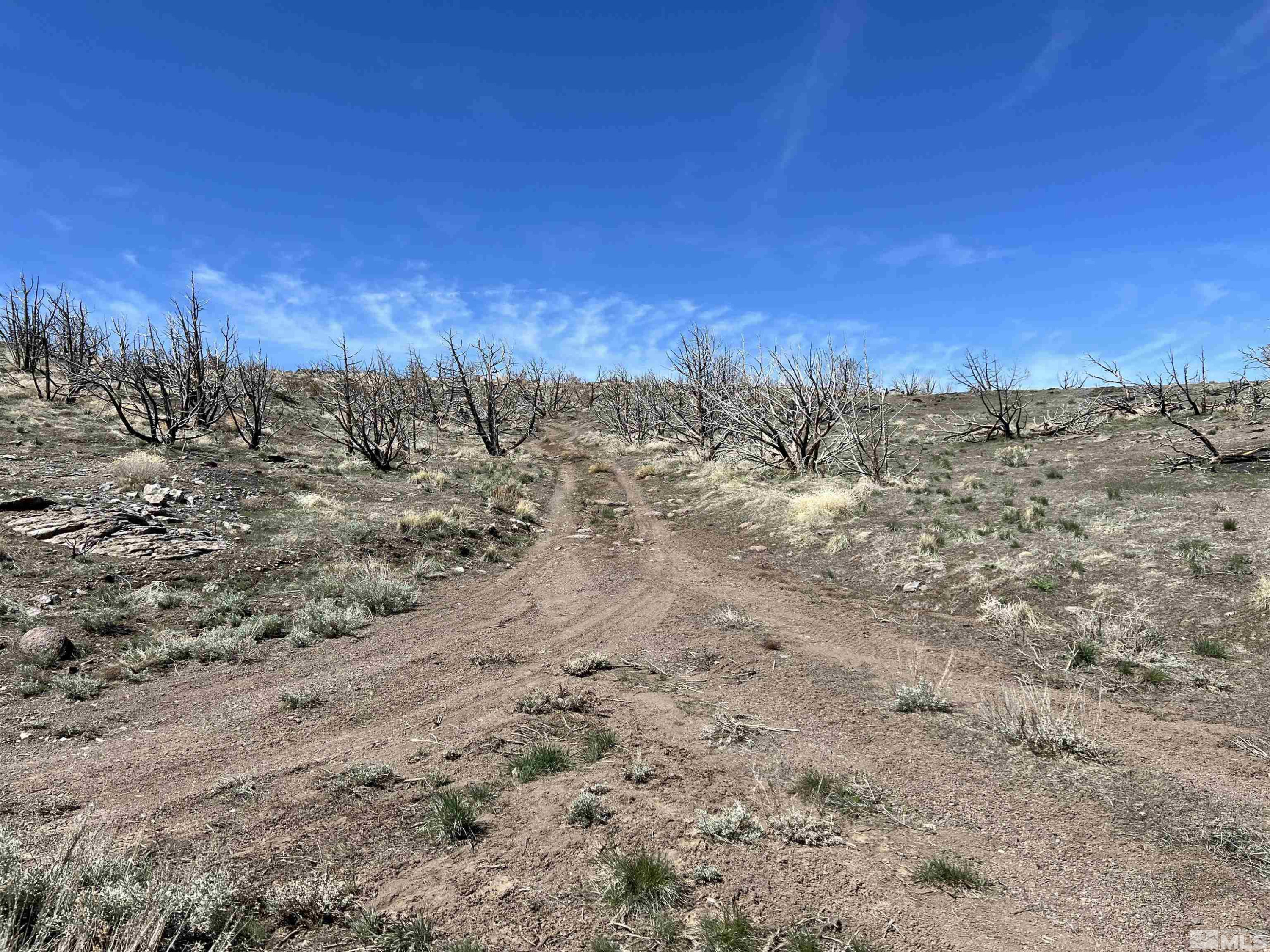 400 Vista Trail Property Photo 14
