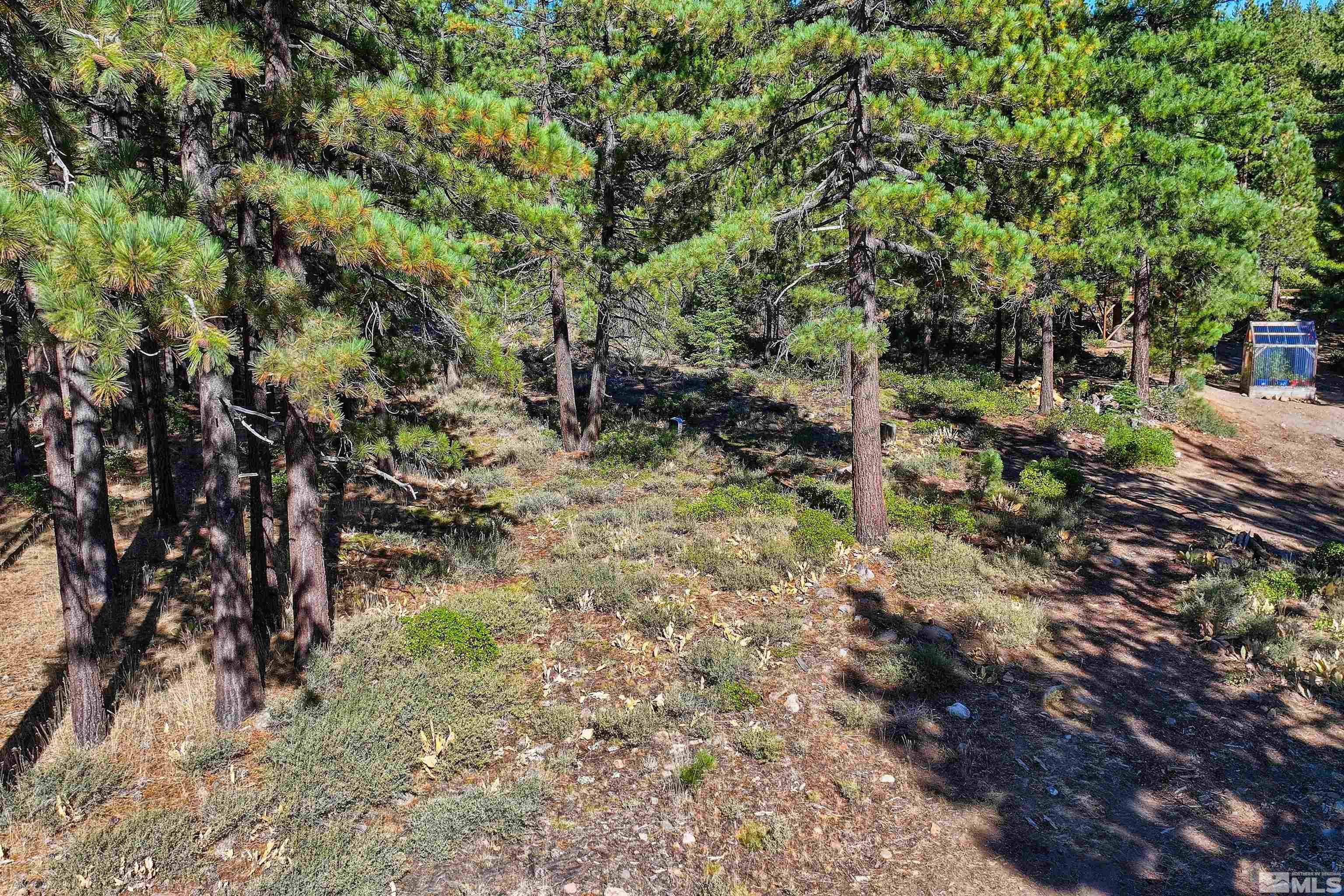 0 Mountain Haven Lane Property Photo 13