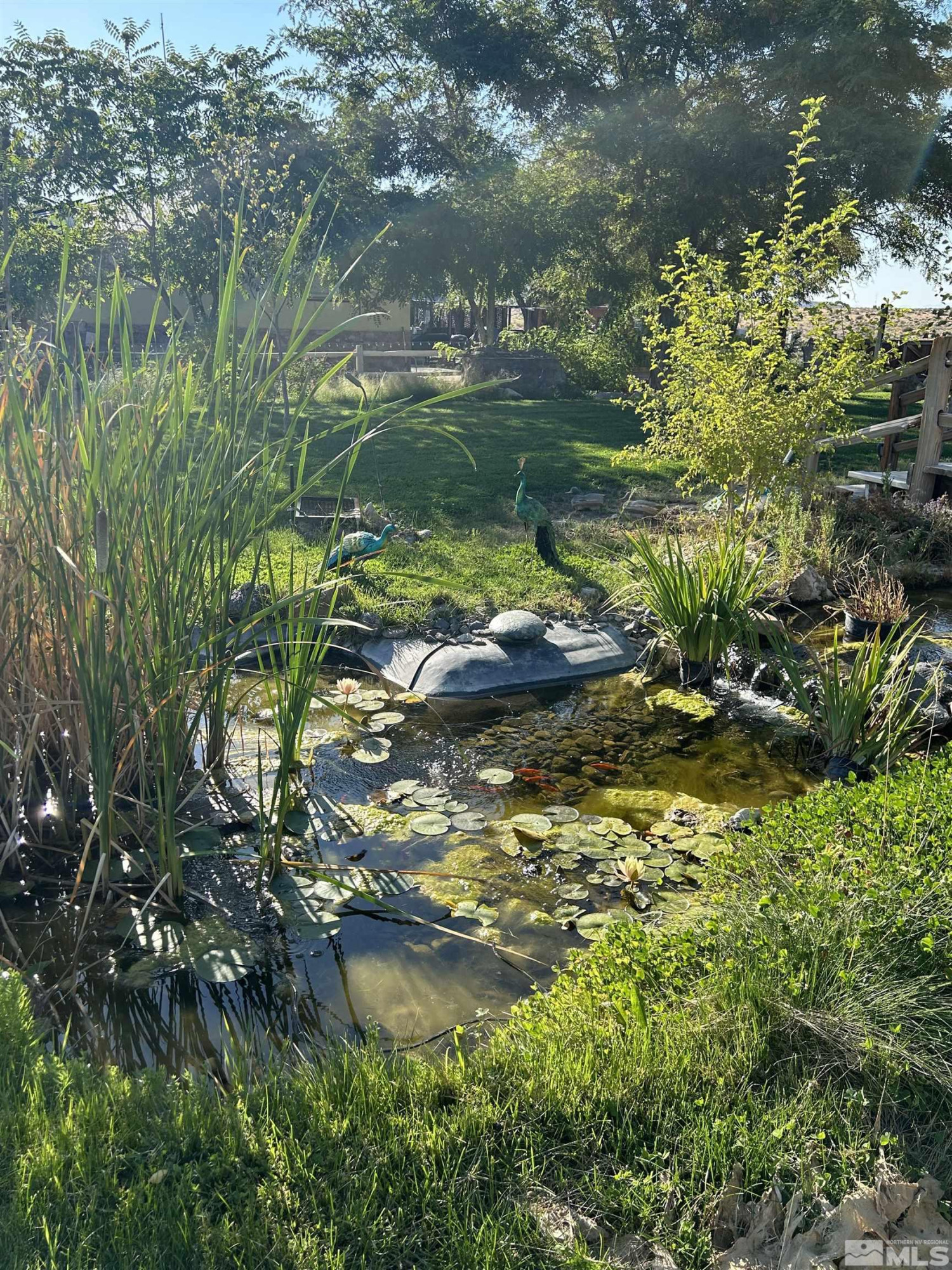 13200 Carson Highway Property Photo 3