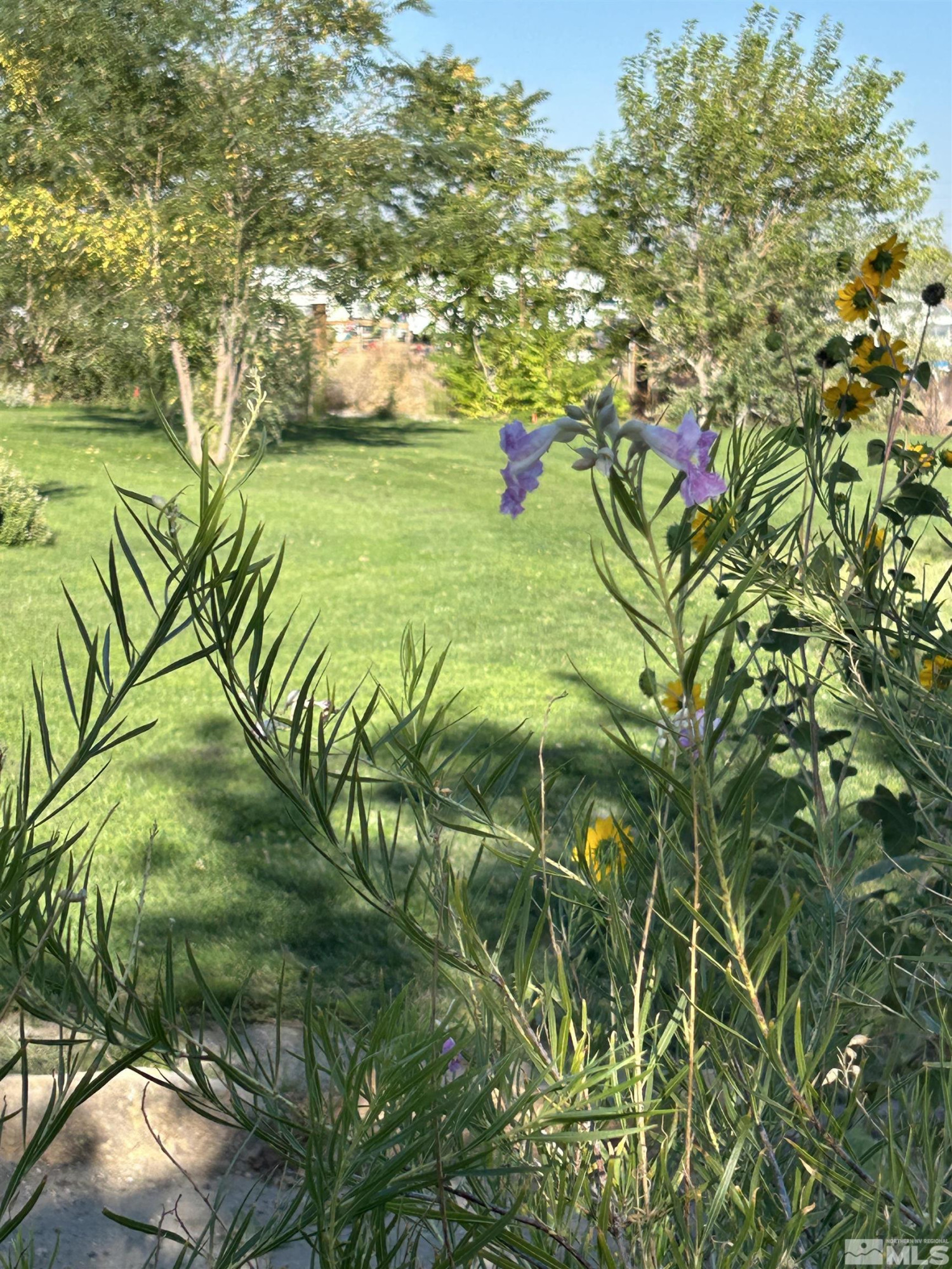 13200 Carson Highway Property Photo 4