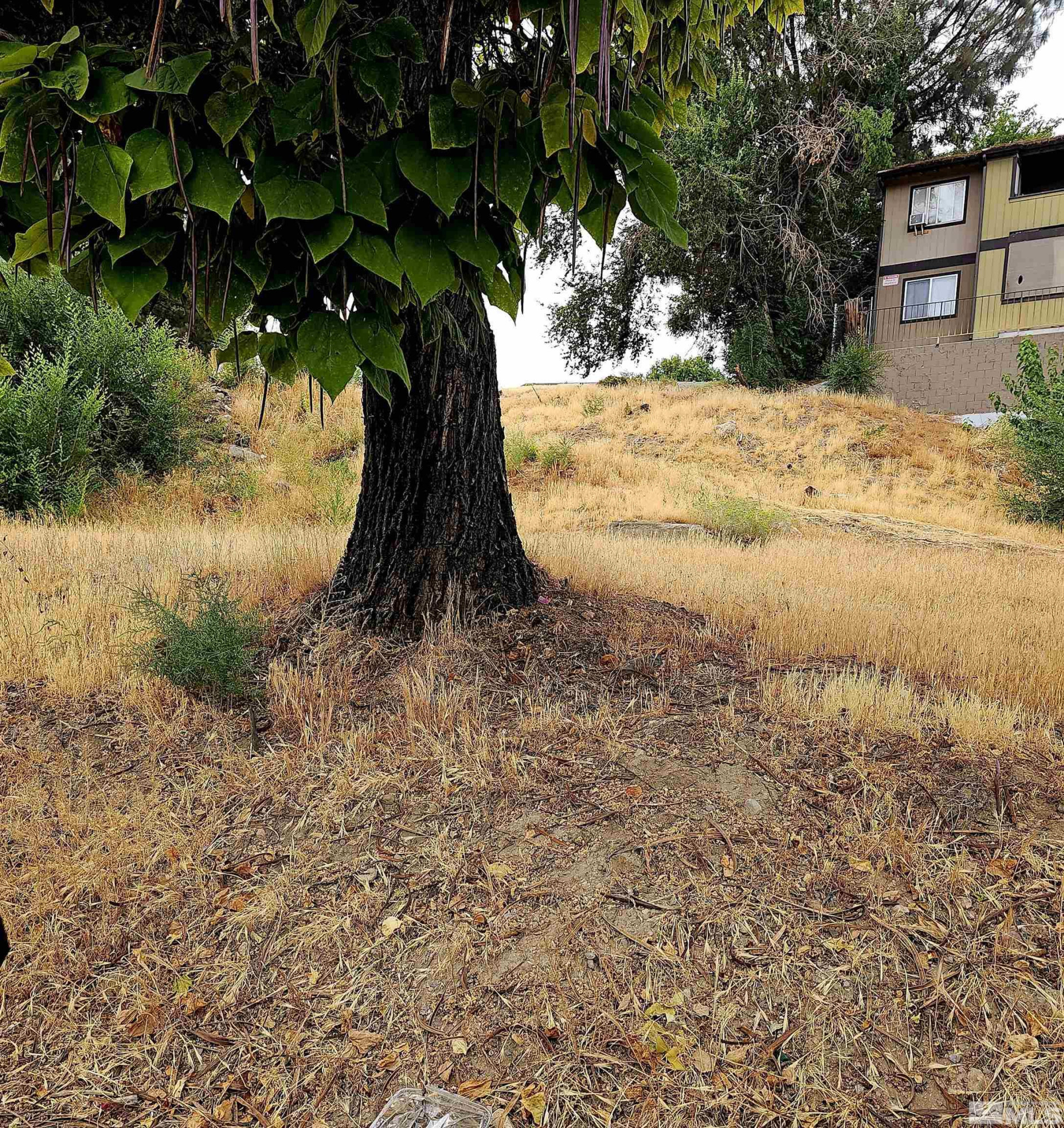 2065 Wedekind Road Property Photo 3