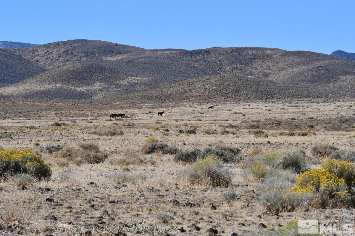 06 Hwy 95a Property Photo 5