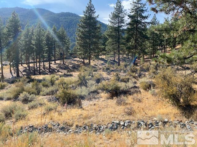 196 Scenic Range Court Property Photo 4