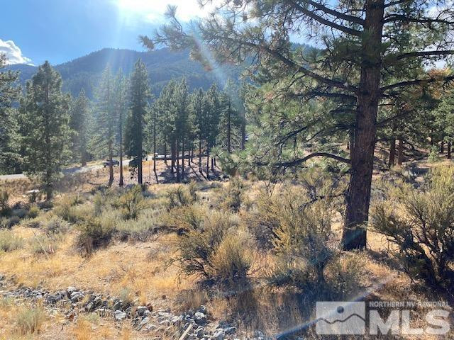 196 Scenic Range Court Property Photo 5