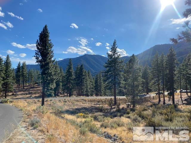 196 Scenic Range Court Property Photo 6