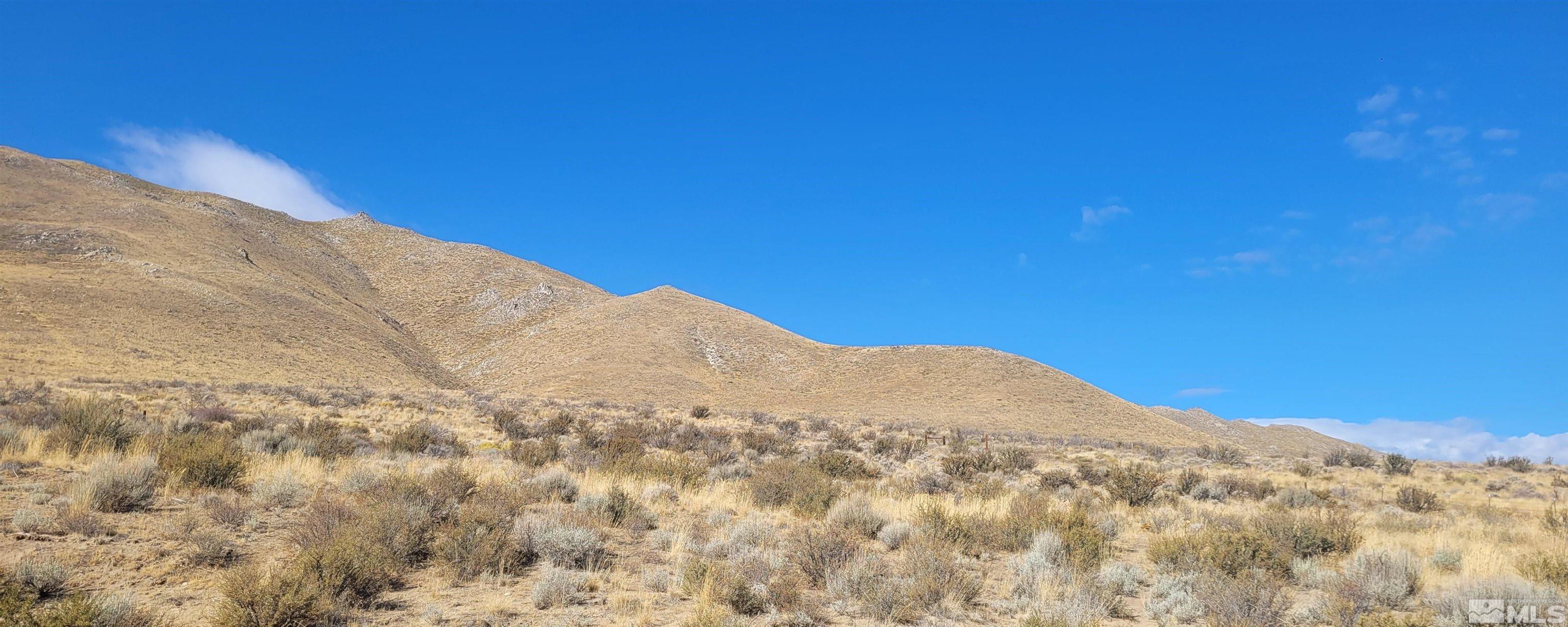 235 Shetland Circle Property Photo 35