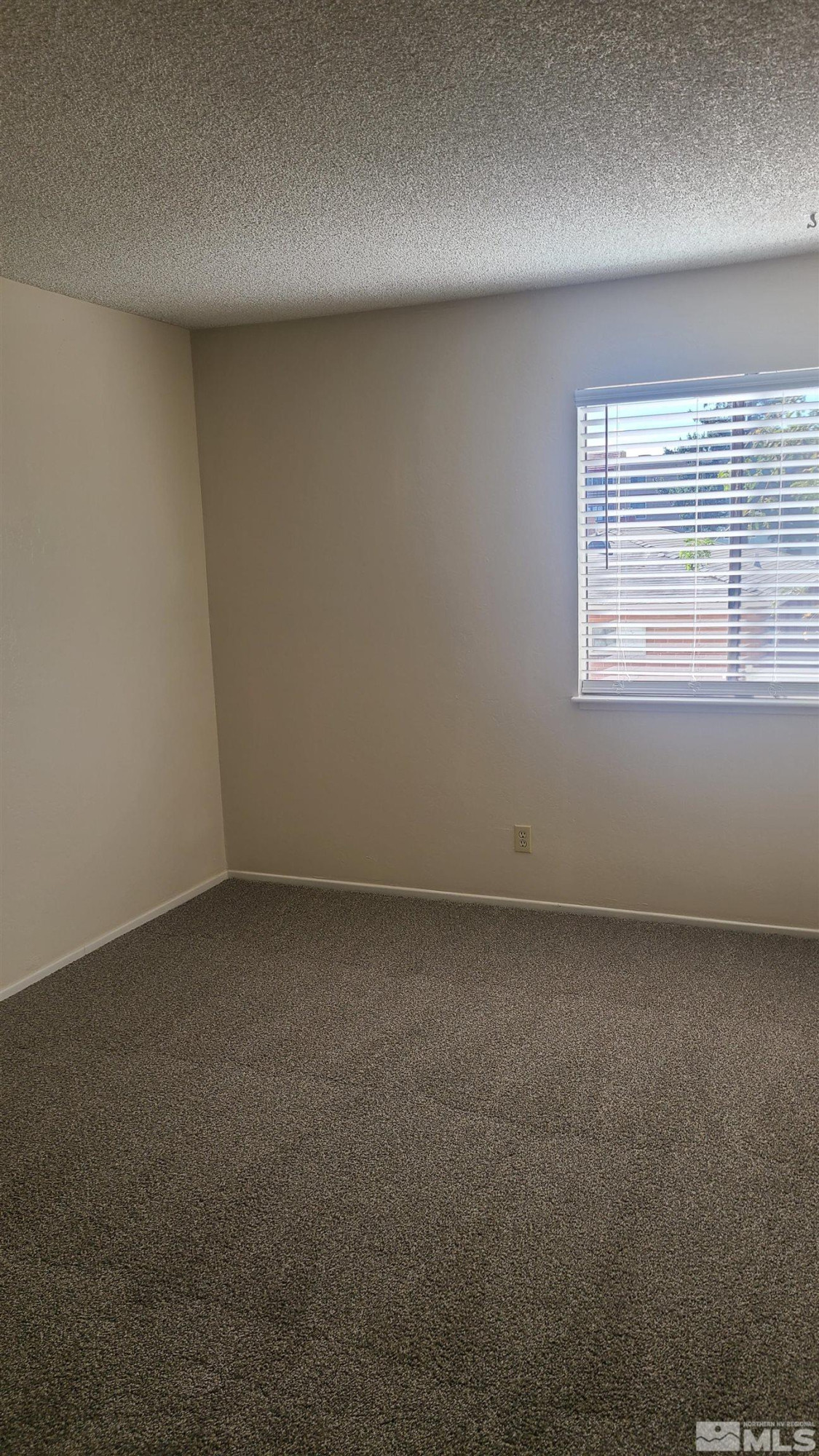 2955 Lakeside Drive Property Photo 7