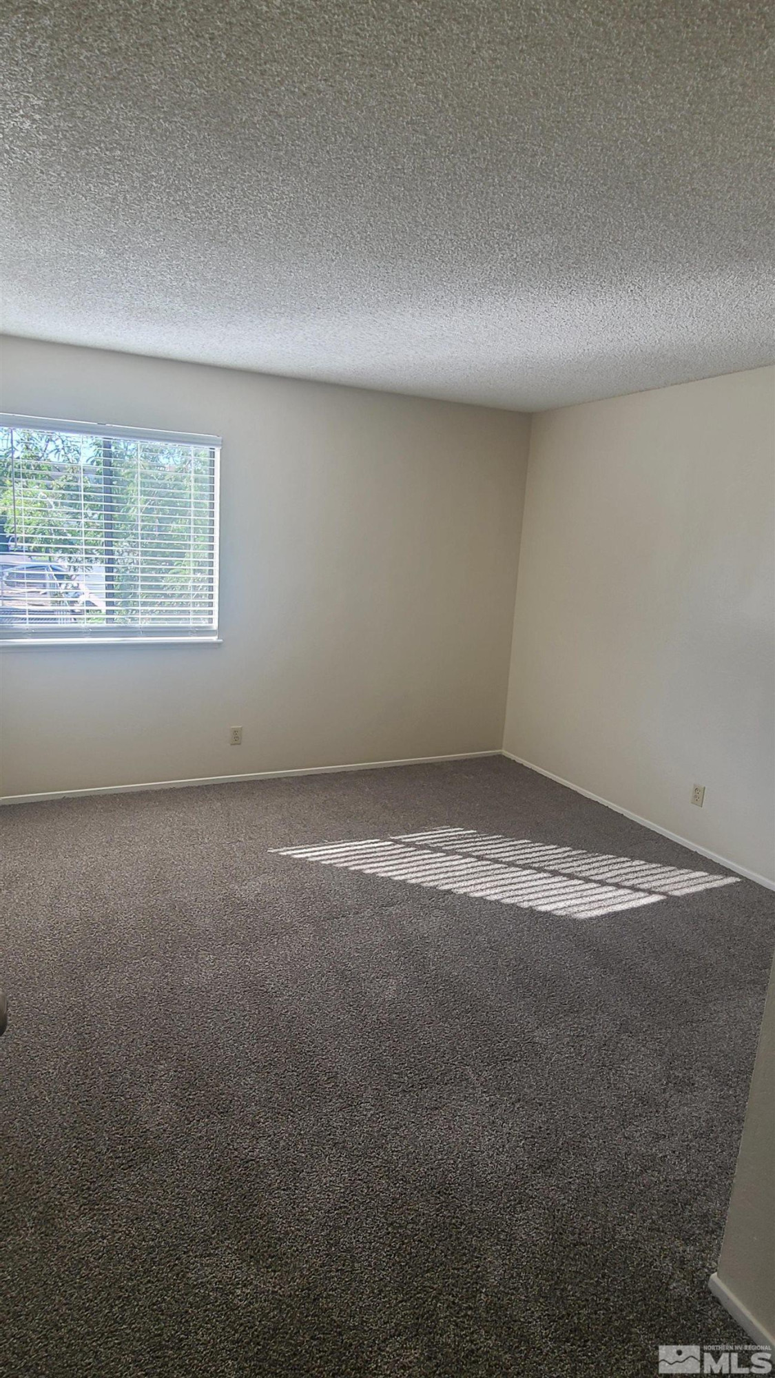 2955 Lakeside Drive Property Photo 9