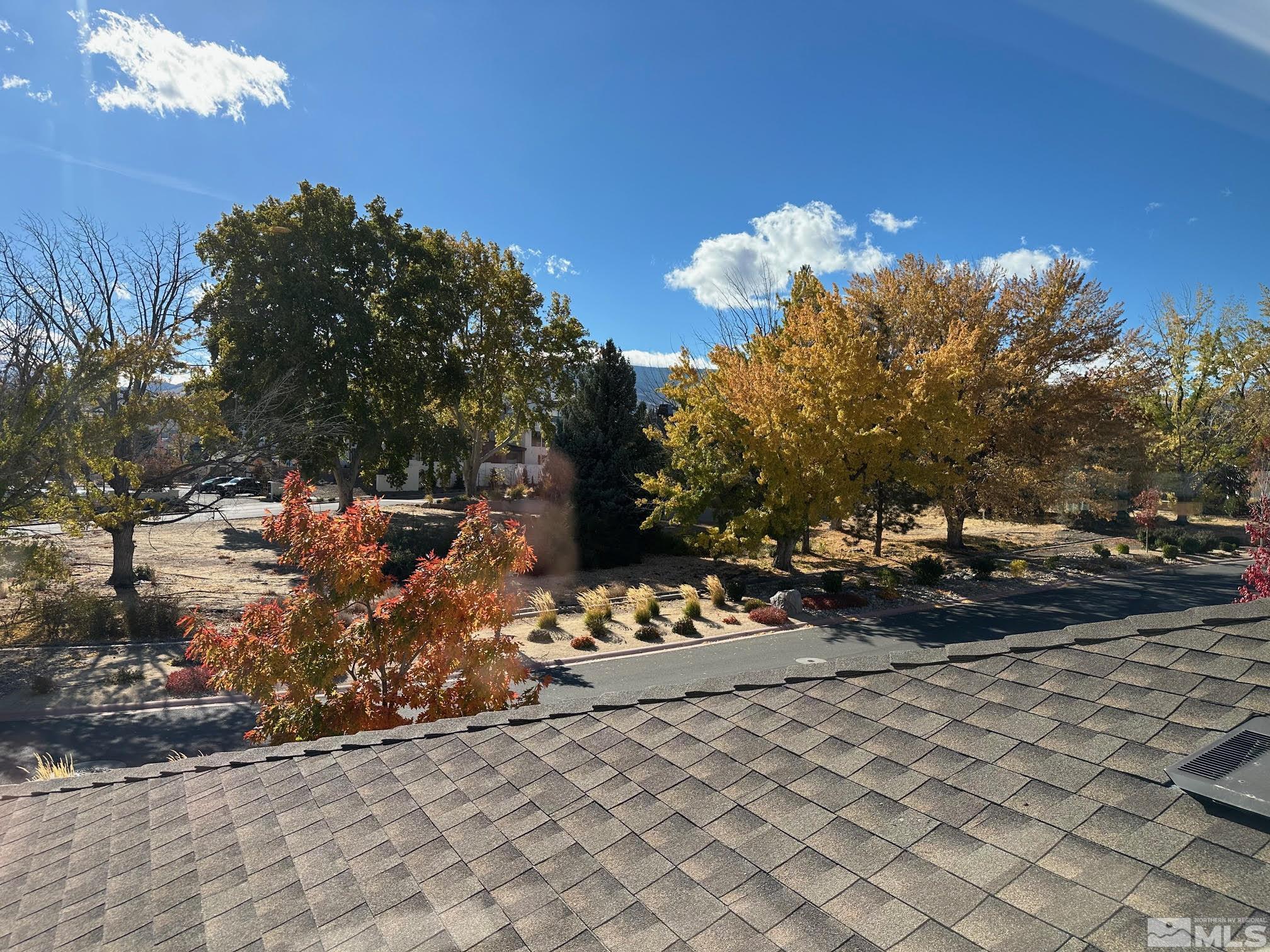 5545 Western Rider Trail Property Photo 22