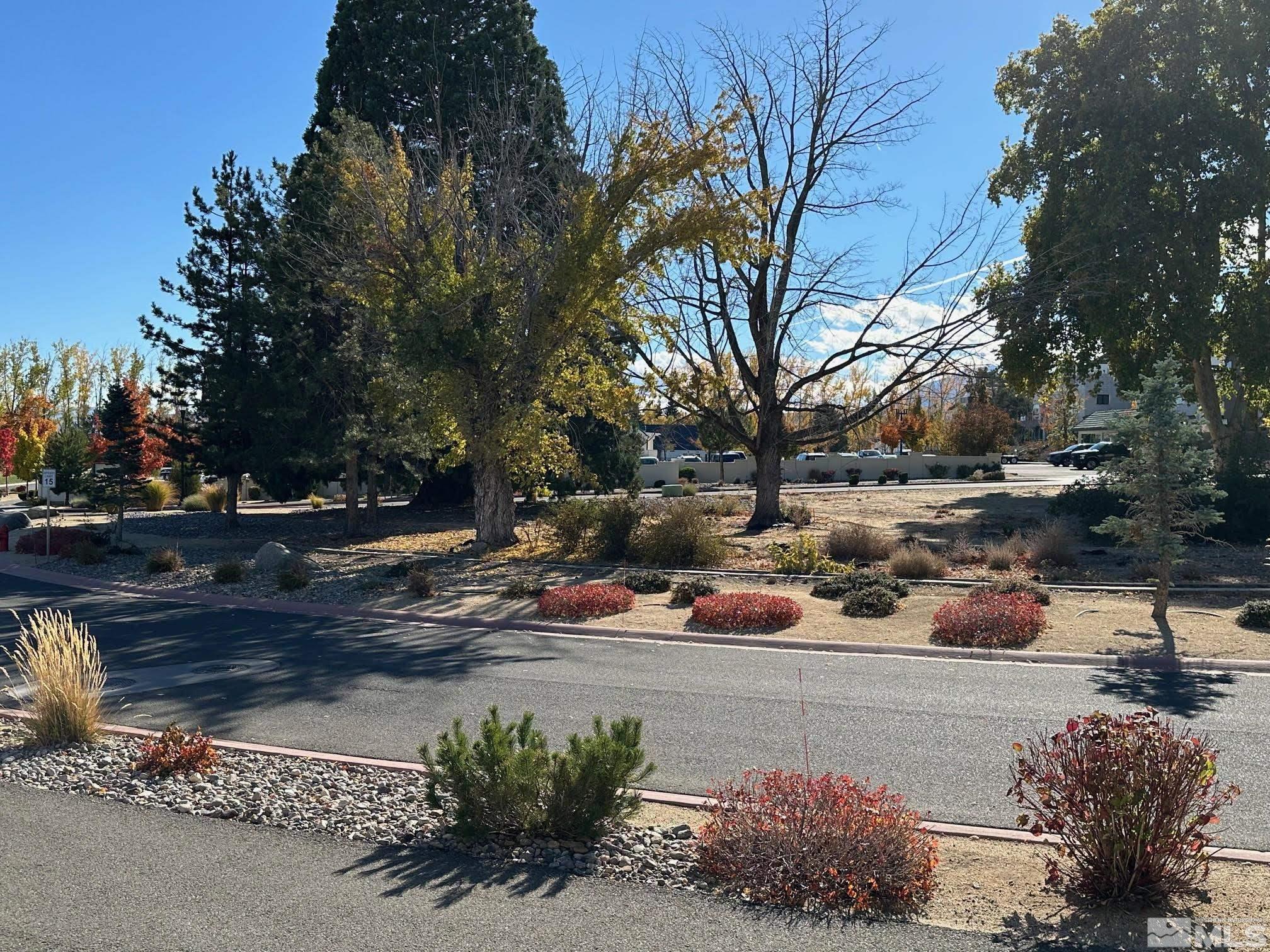5545 Western Rider Trail Property Photo 39