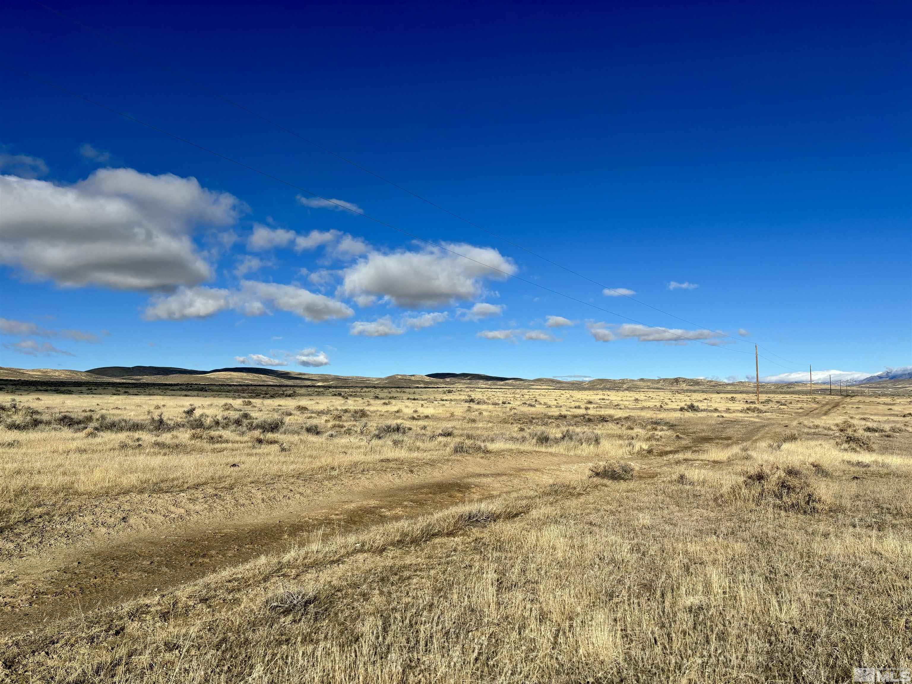 41.93 Acres Sierra Pass Road Property Photo 3