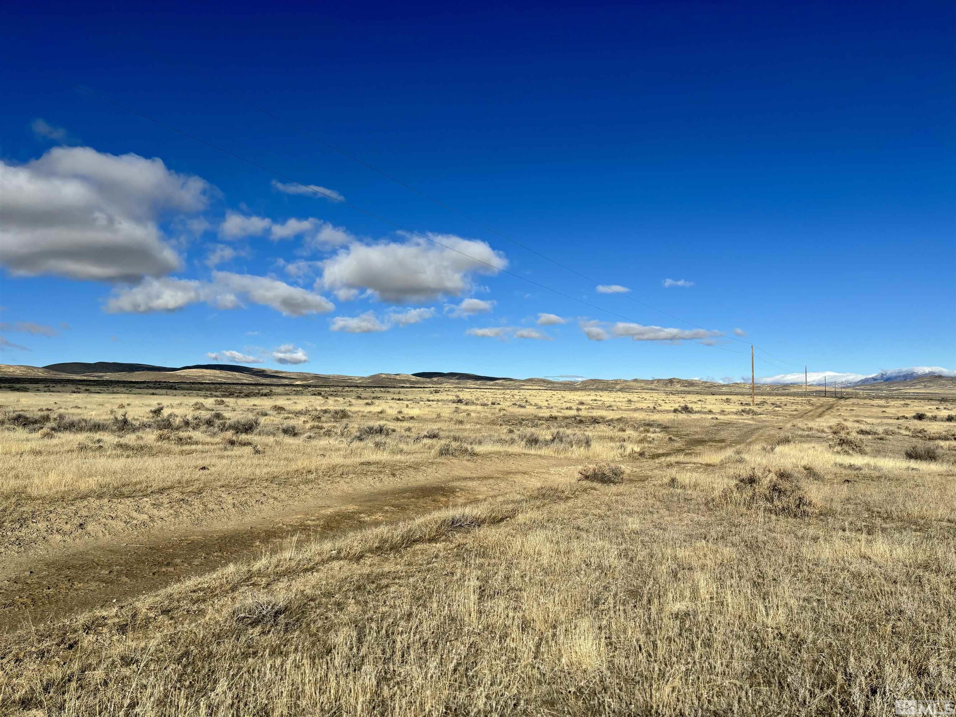 41.93 Acres Sierra Pass Road Property Photo 4