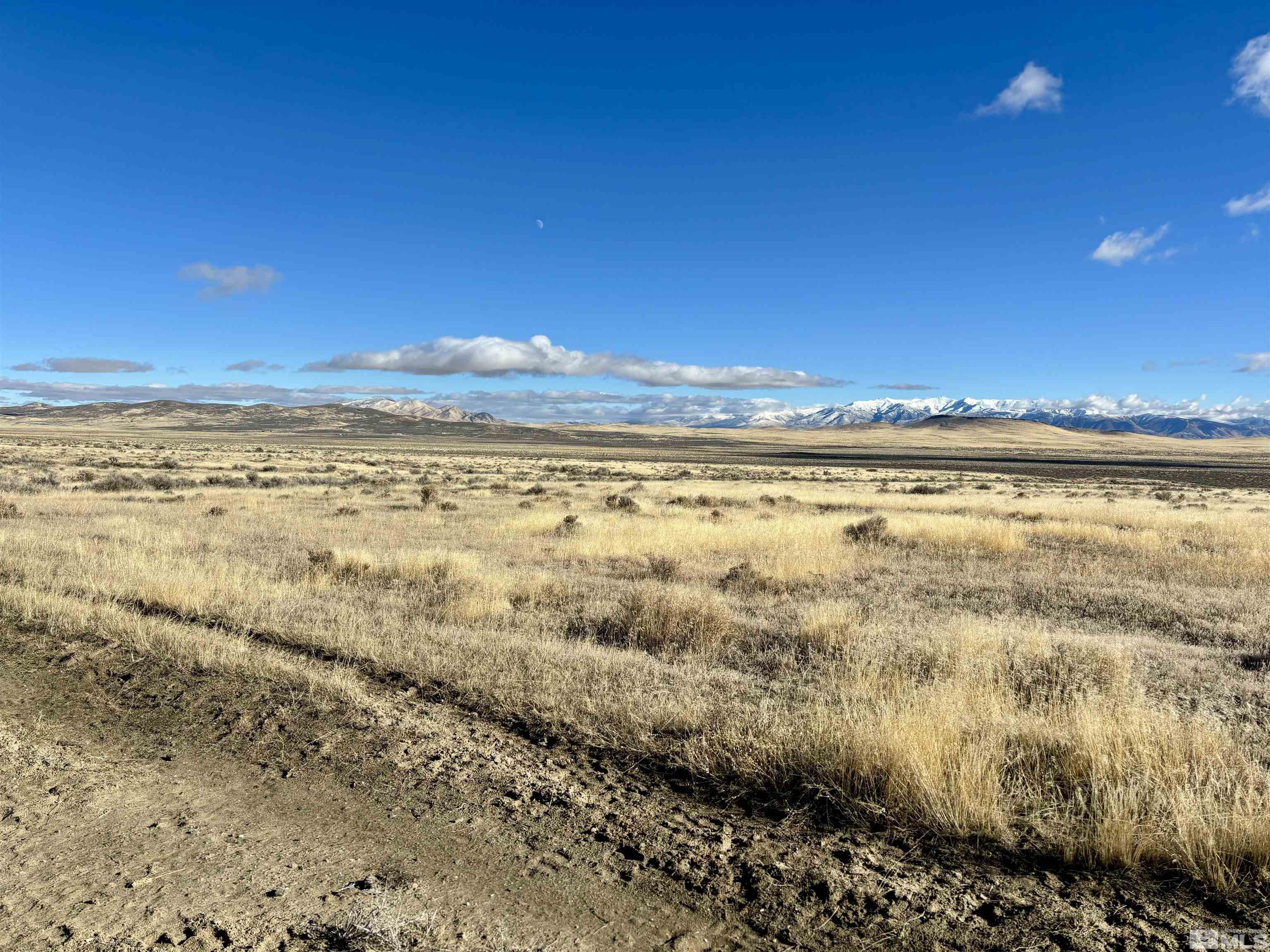 41.93 Acres Sierra Pass Road Property Photo 7