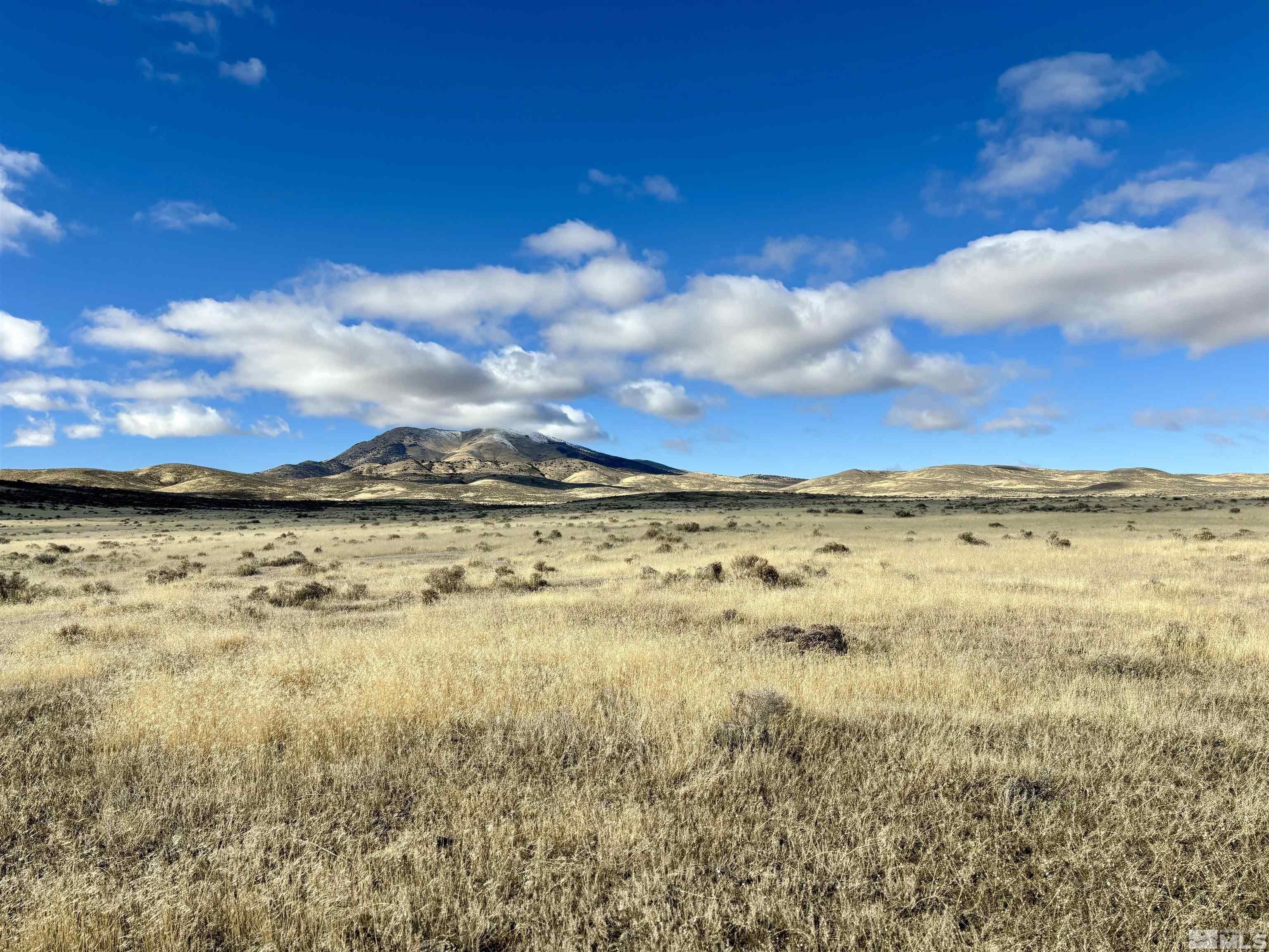 41.93 Acres Sierra Pass Road Property Photo 8