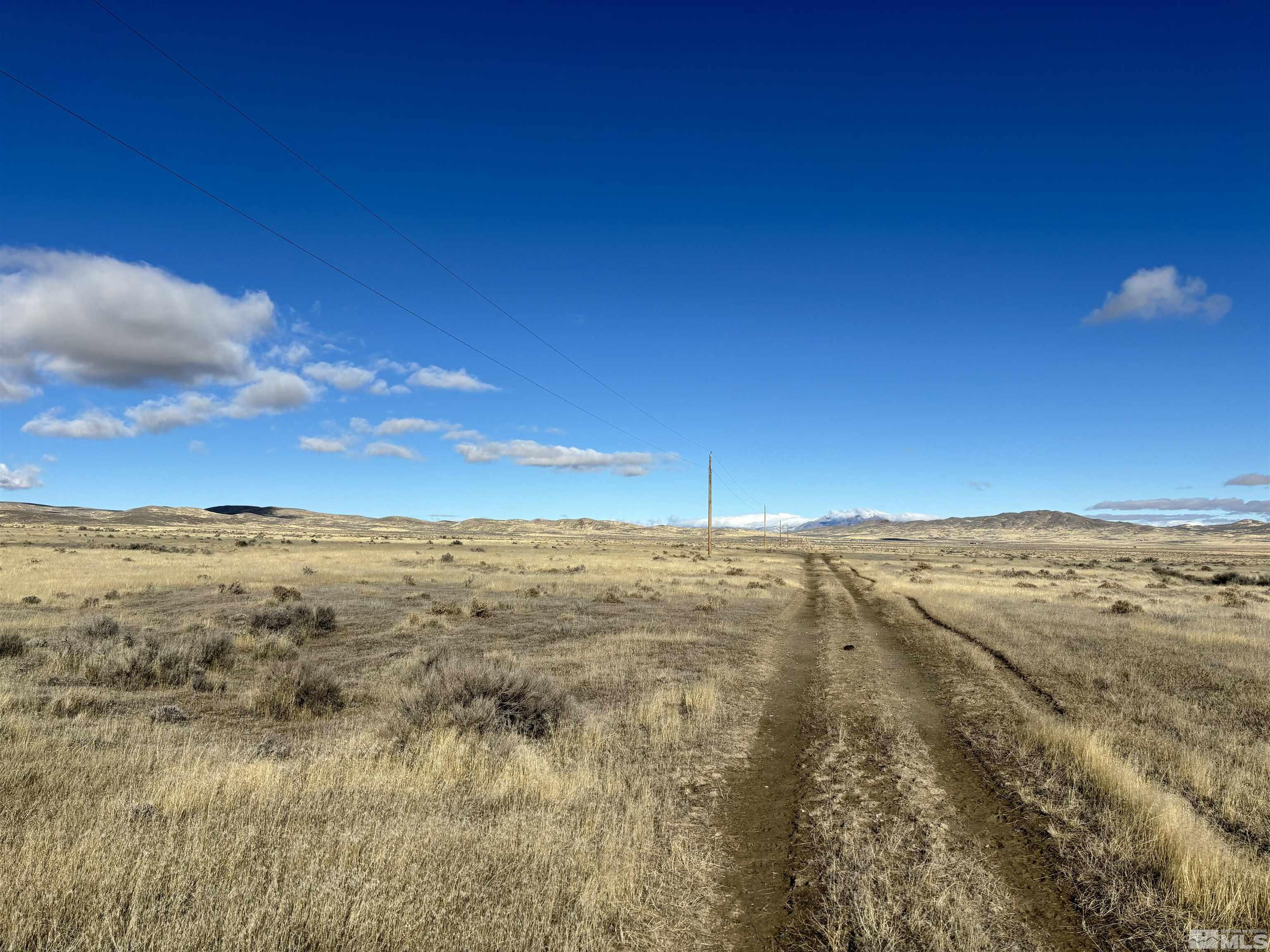 41.93 Acres Sierra Pass Road Property Photo 9