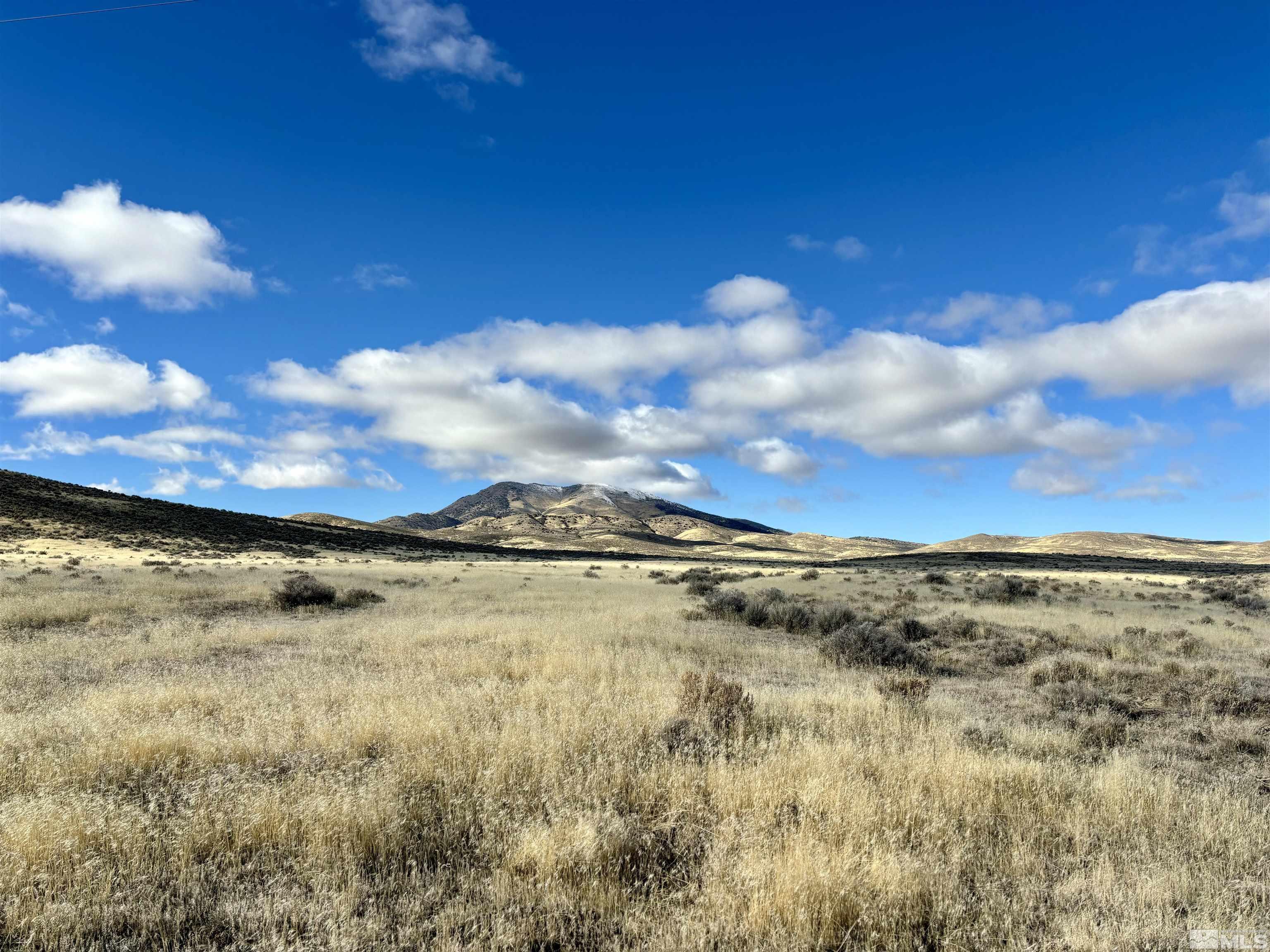 41.93 Acres Sierra Pass Road Property Photo 10