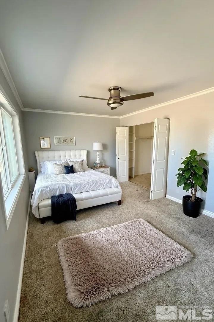 255 Drumm Ln Property Photo 19