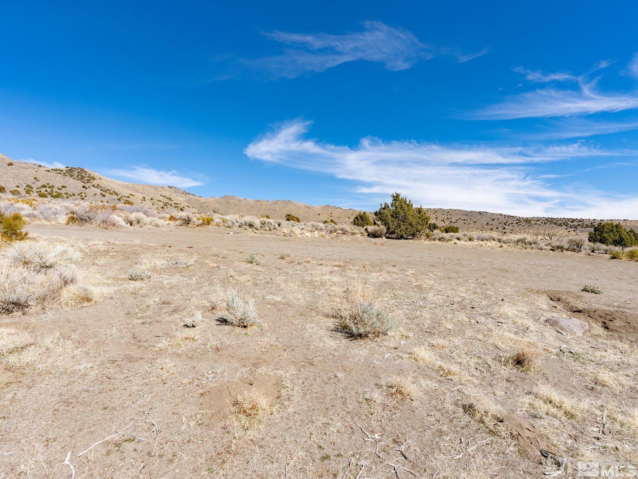 1250 Freds Mountain Property Photo 17