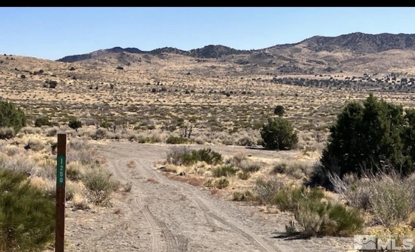 1250 Freds Mountain Property Photo 35