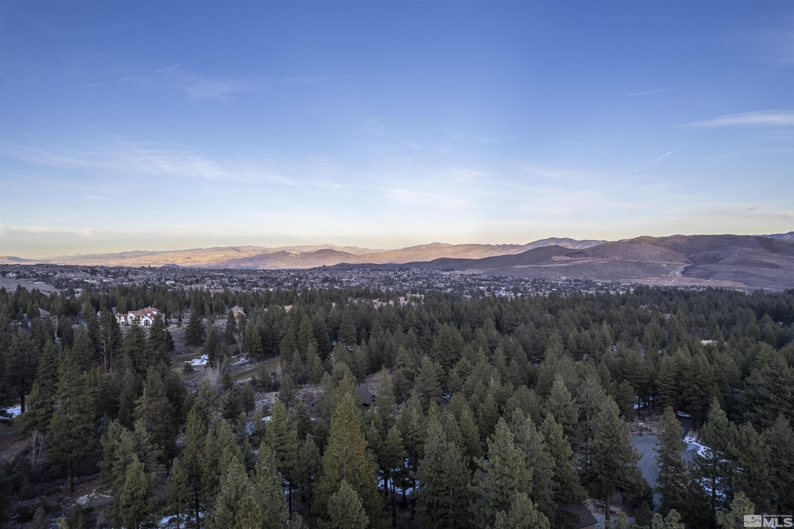 1155 Austrian Pine Road Property Photo 39