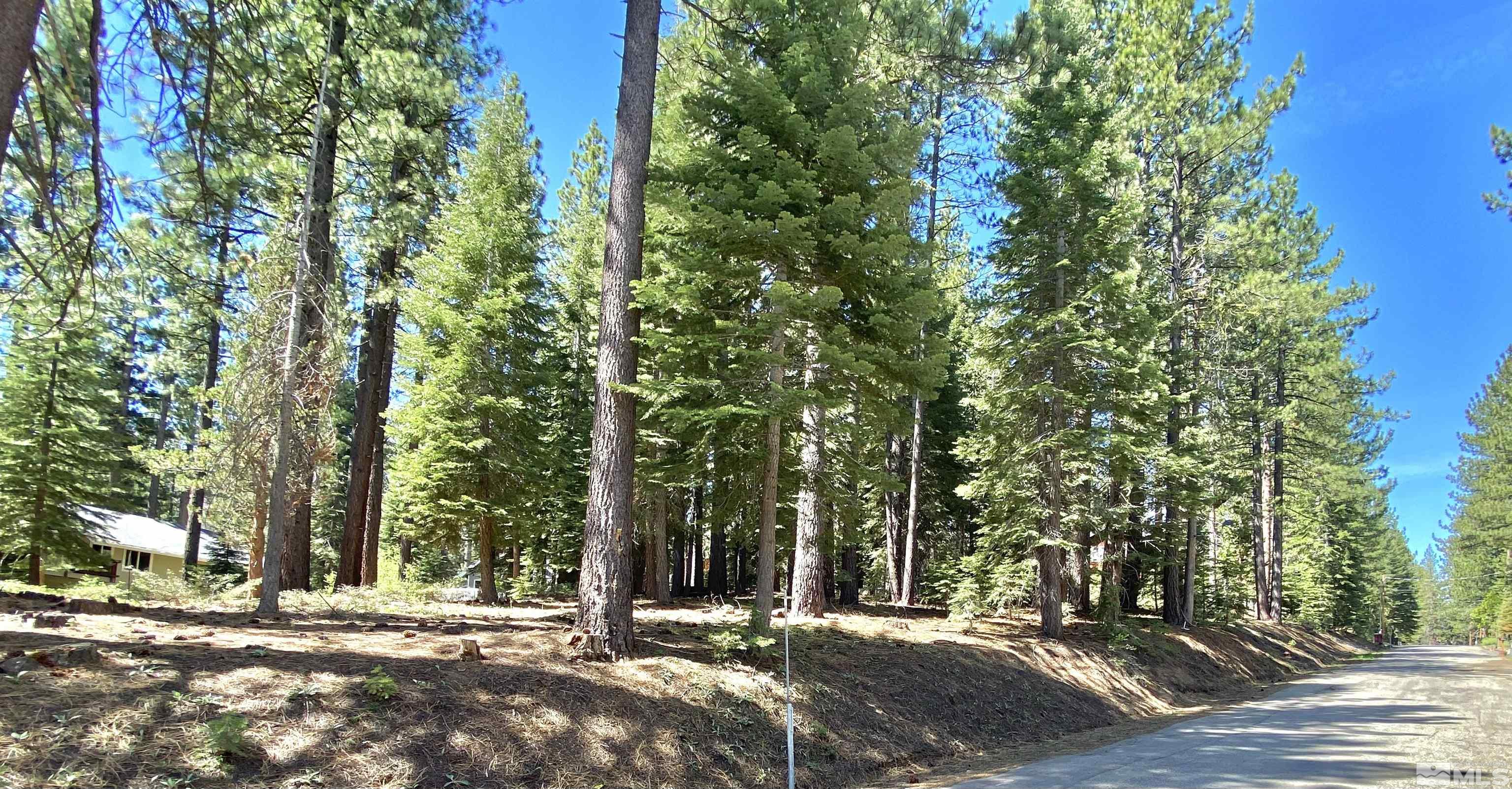 1593 Plumas Property Photo 2