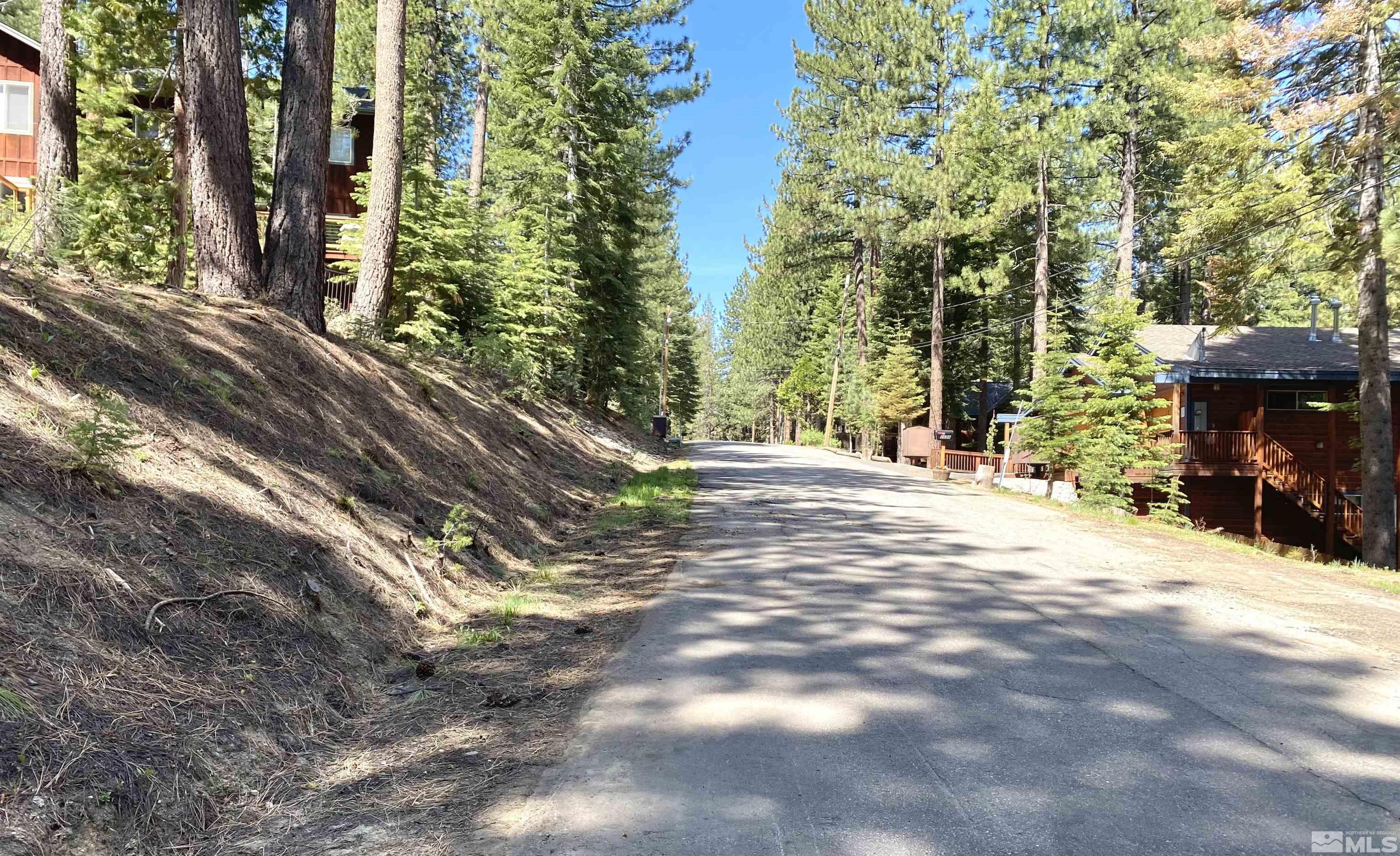 1593 Plumas Property Photo 3