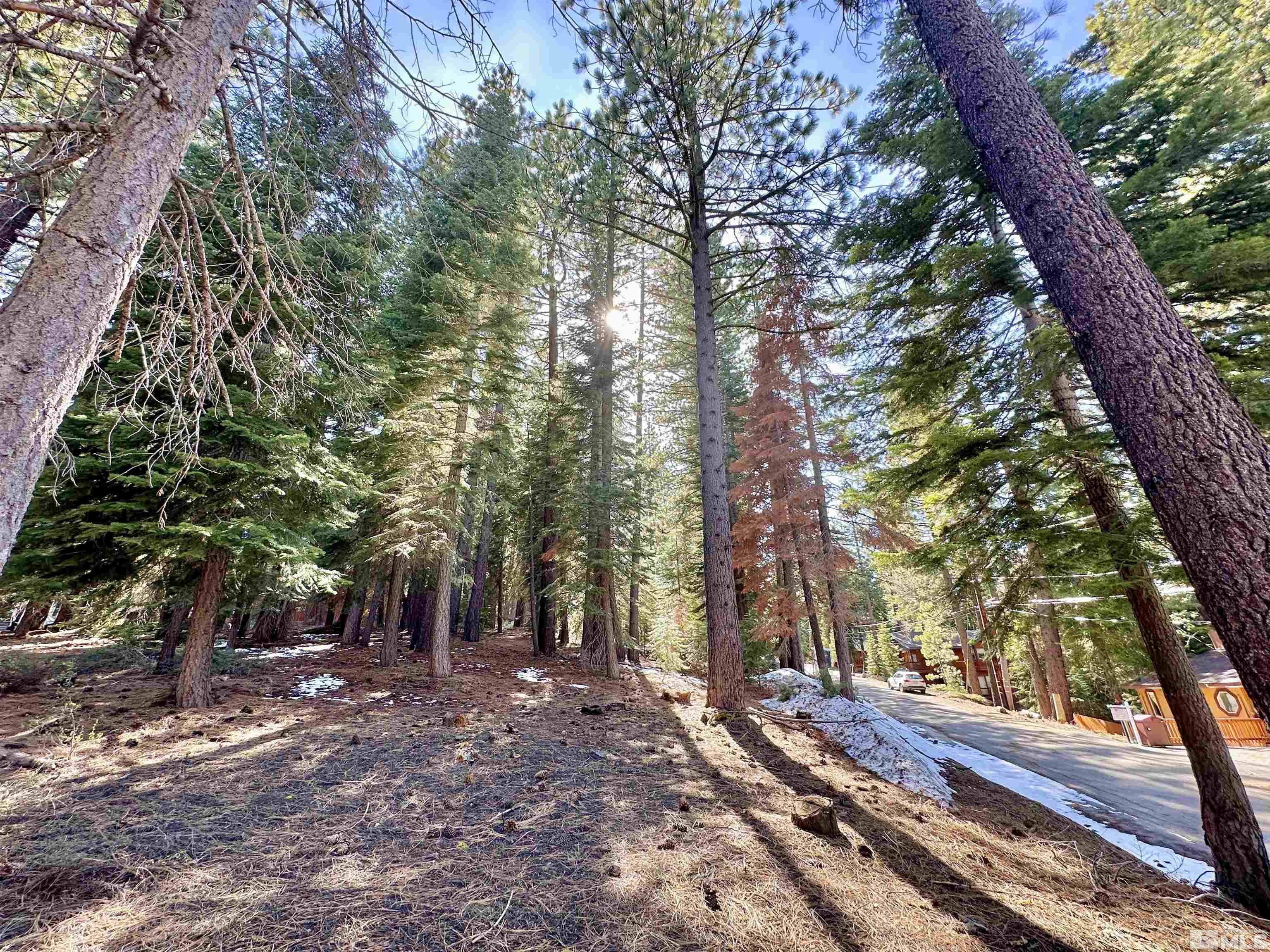 1593 Plumas Property Photo 4