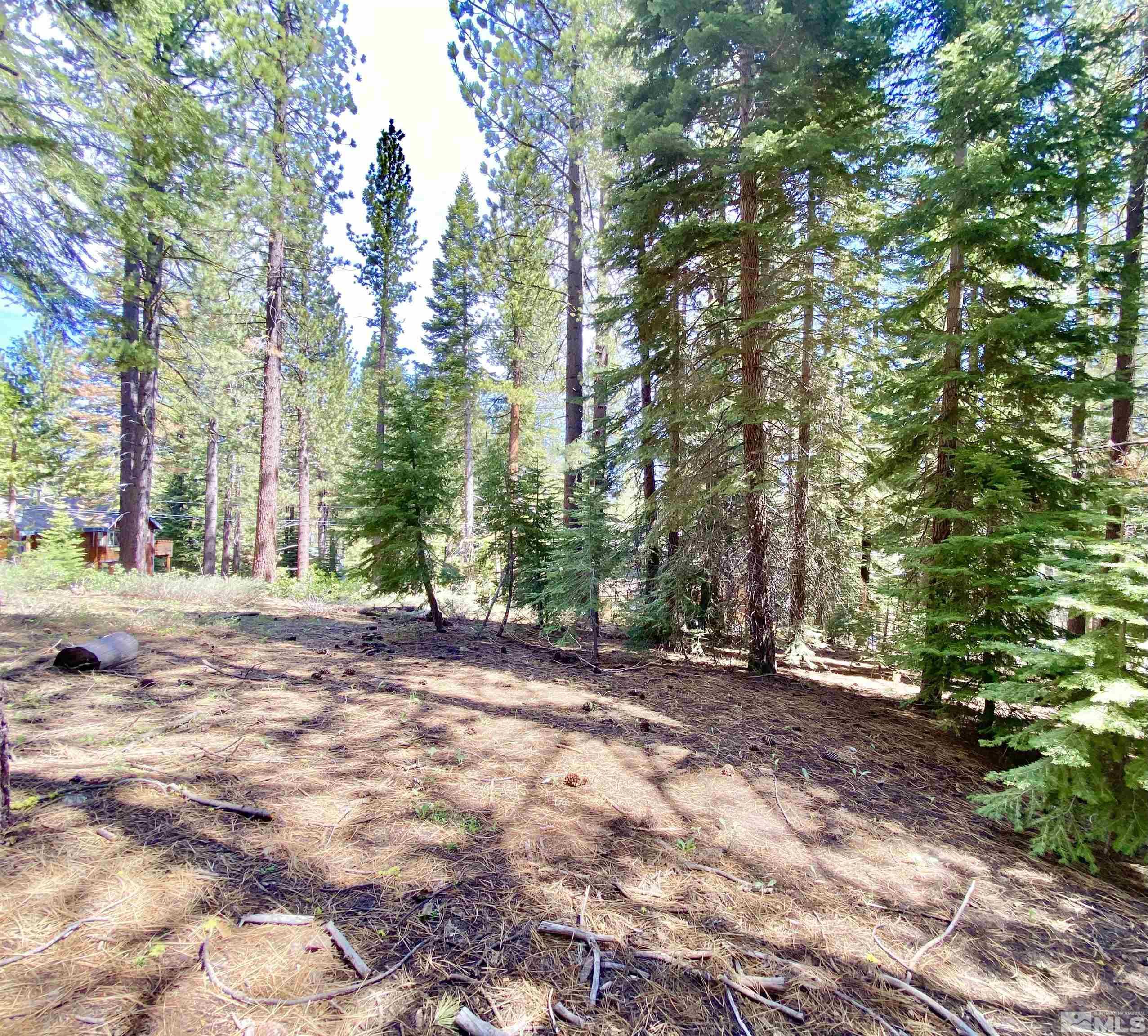 1593 Plumas Property Photo 6