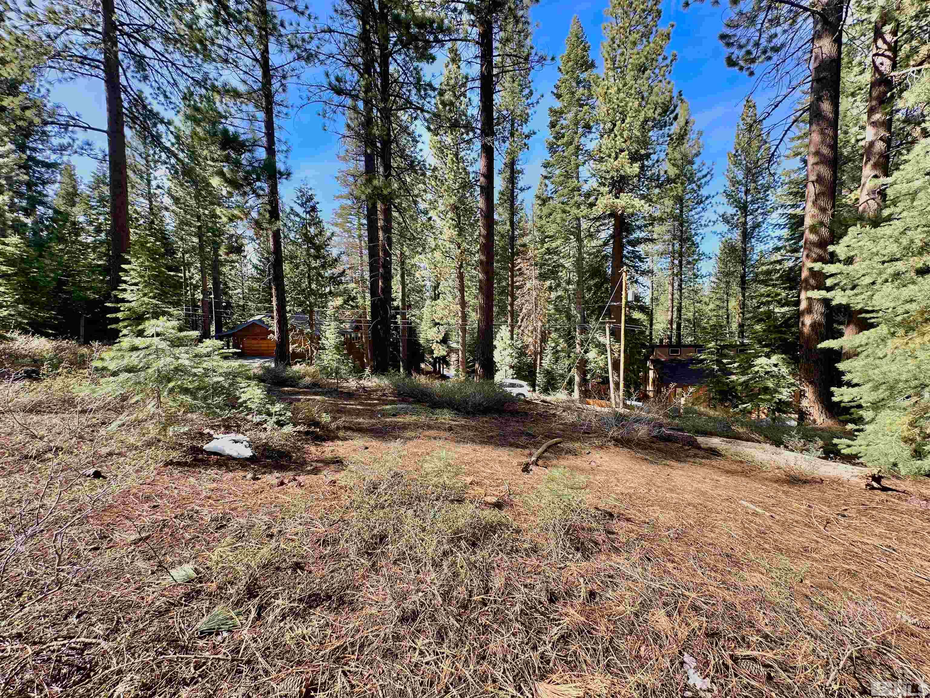 1593 Plumas Property Photo 7