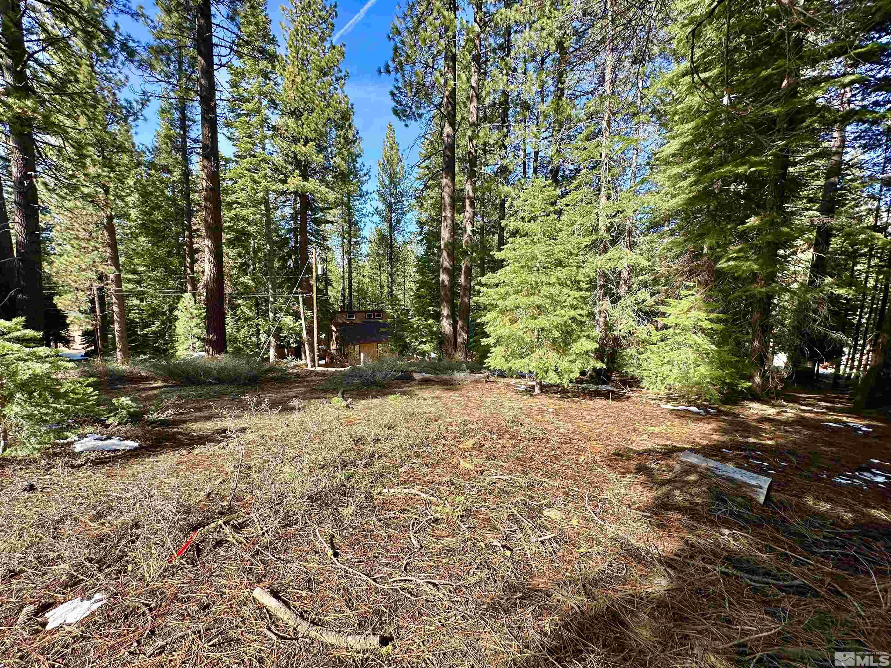 1593 Plumas Property Photo 8