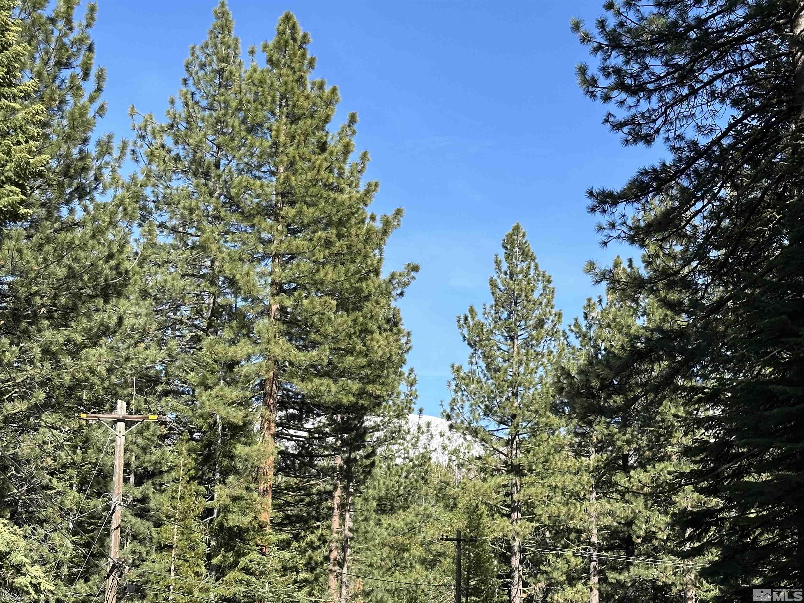 1593 Plumas Property Photo 12